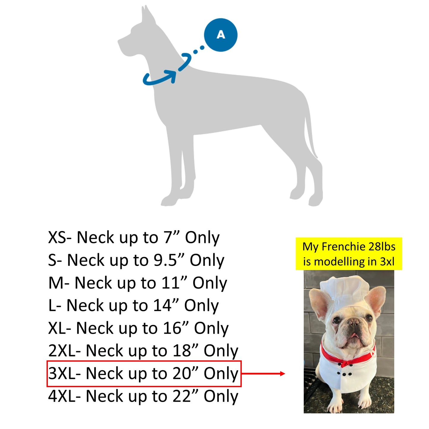 Halloween Deckhand Sailor Bandana and Hat Costume