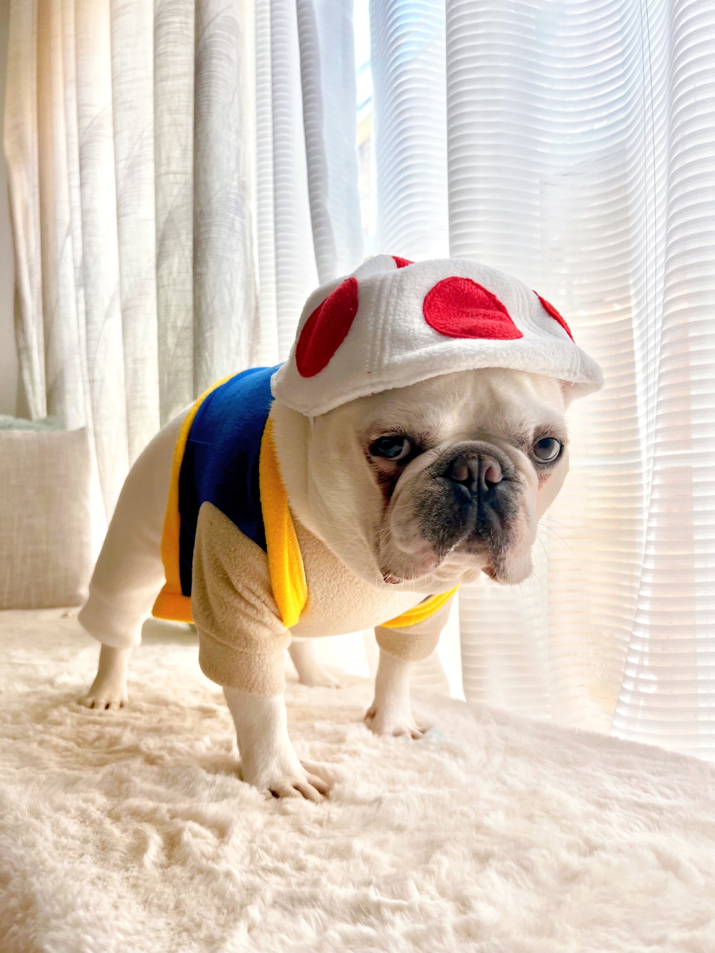 Super Mushroom Power Up Dog Cat Pet Halloween Costume