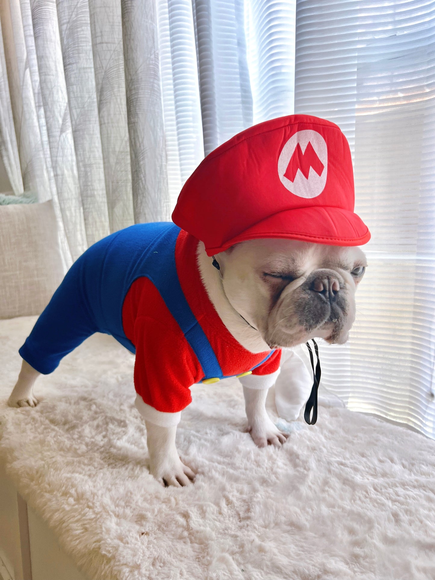 Super Mario Brother Dog Cat Pet Halloween Costume
