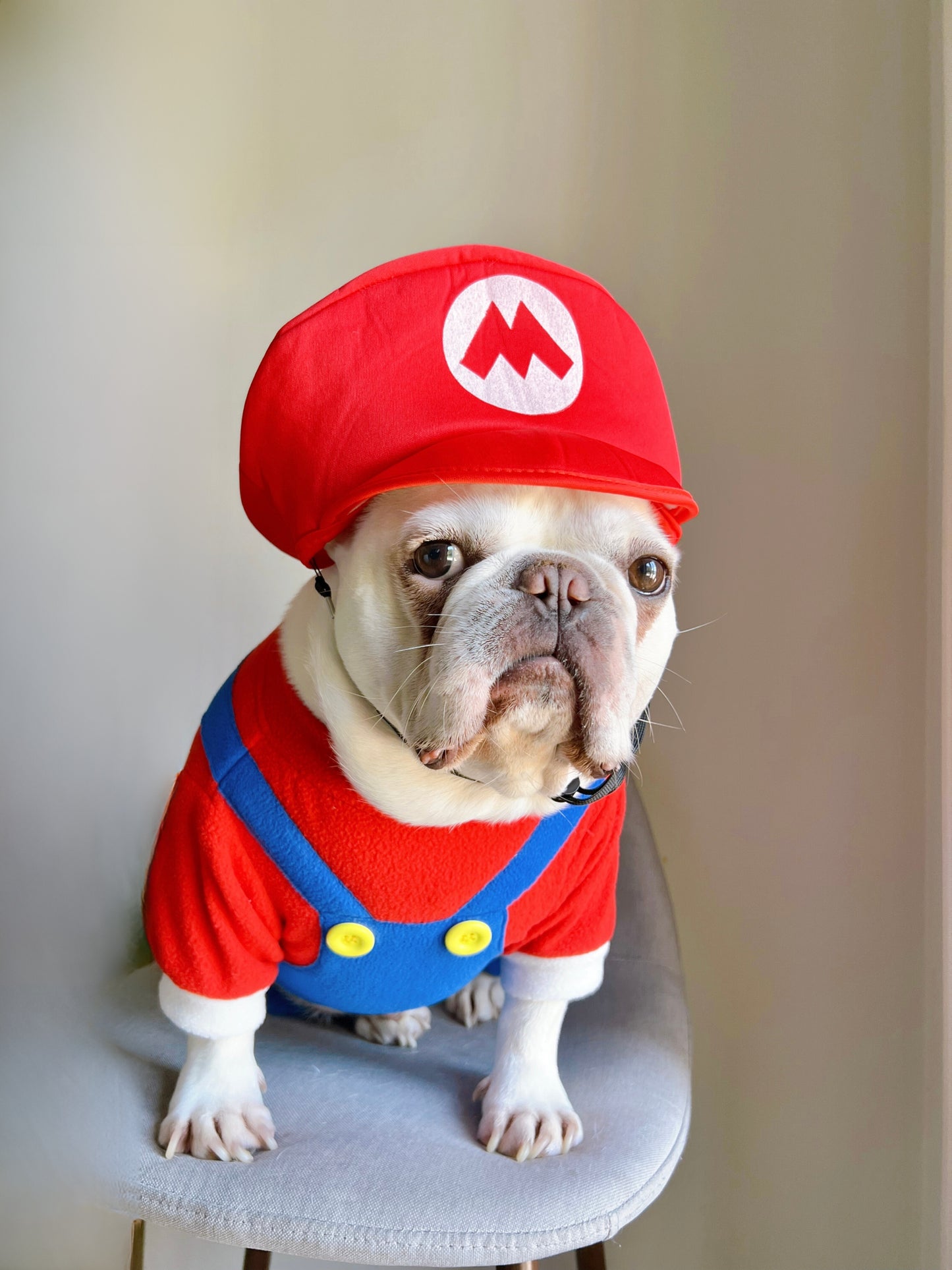 Super Mario Brother Dog Cat Pet Halloween Costume
