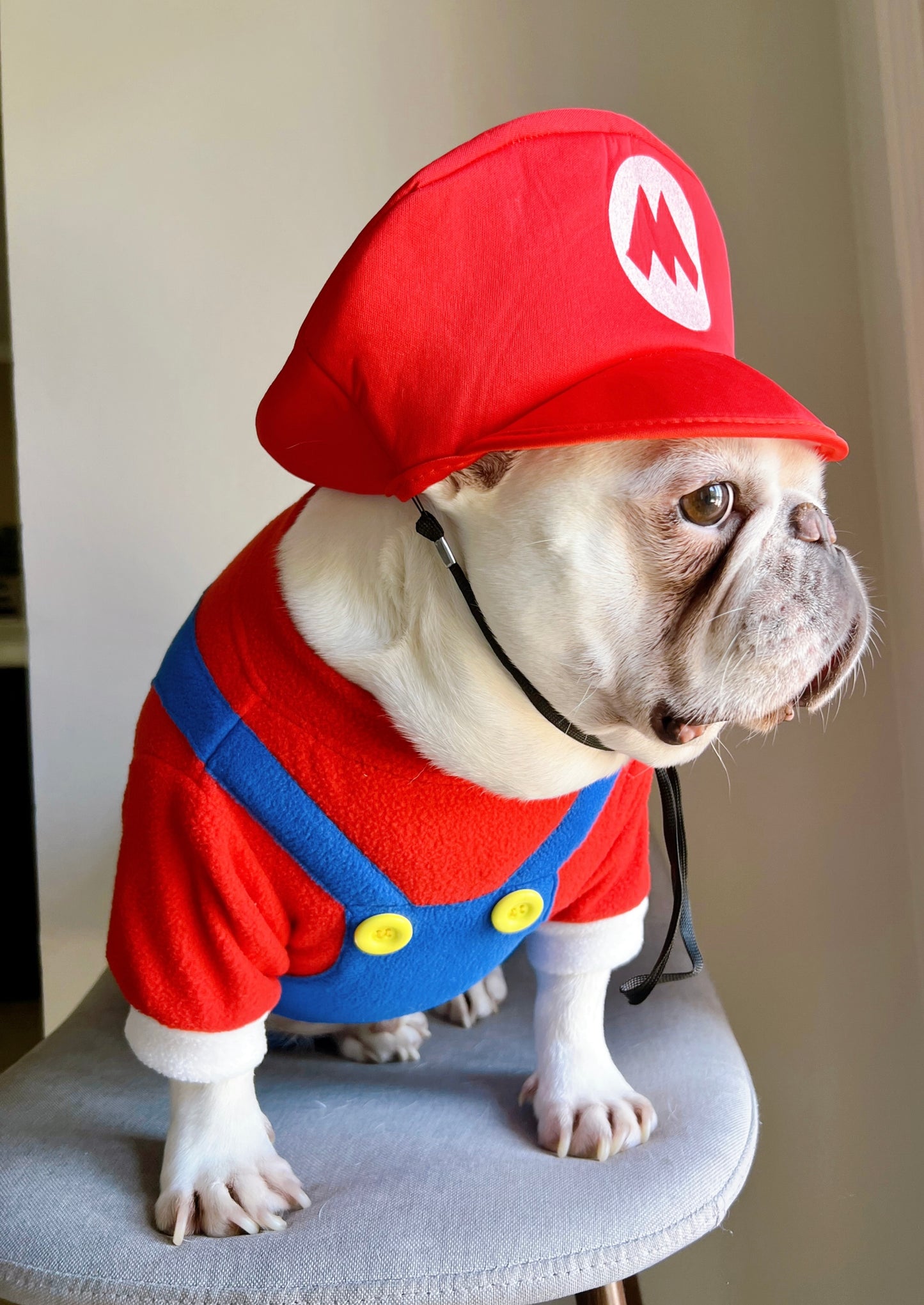 Super Mario Brother Dog Cat Pet Halloween Costume