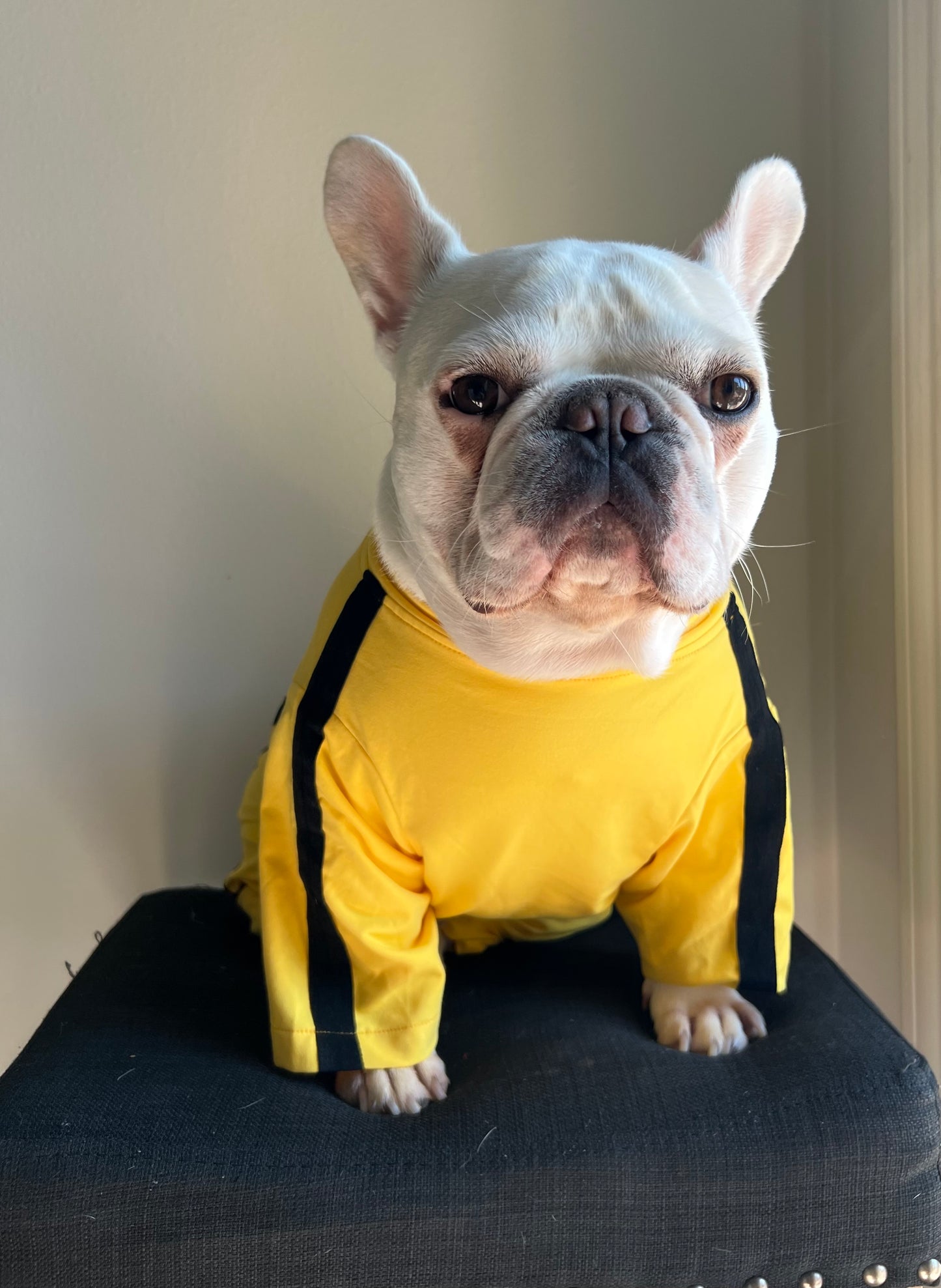 Bruce Lee The Bride Kill Bill Yellow Jumpsuit