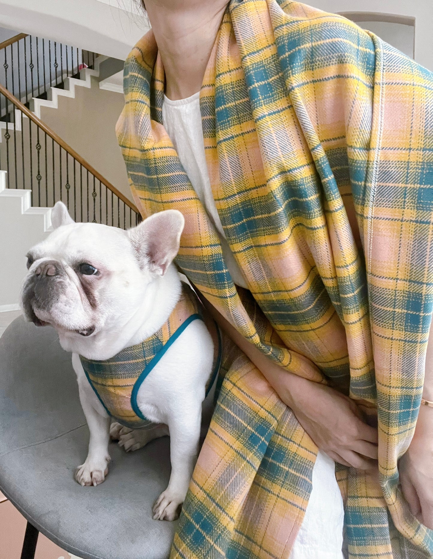 Pet and Owner Matching Shawl and Hardness