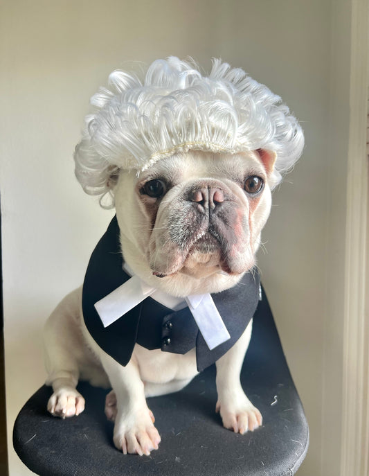 Regal Barrister Pet Costume Lawyer Wig & Robe Bandana