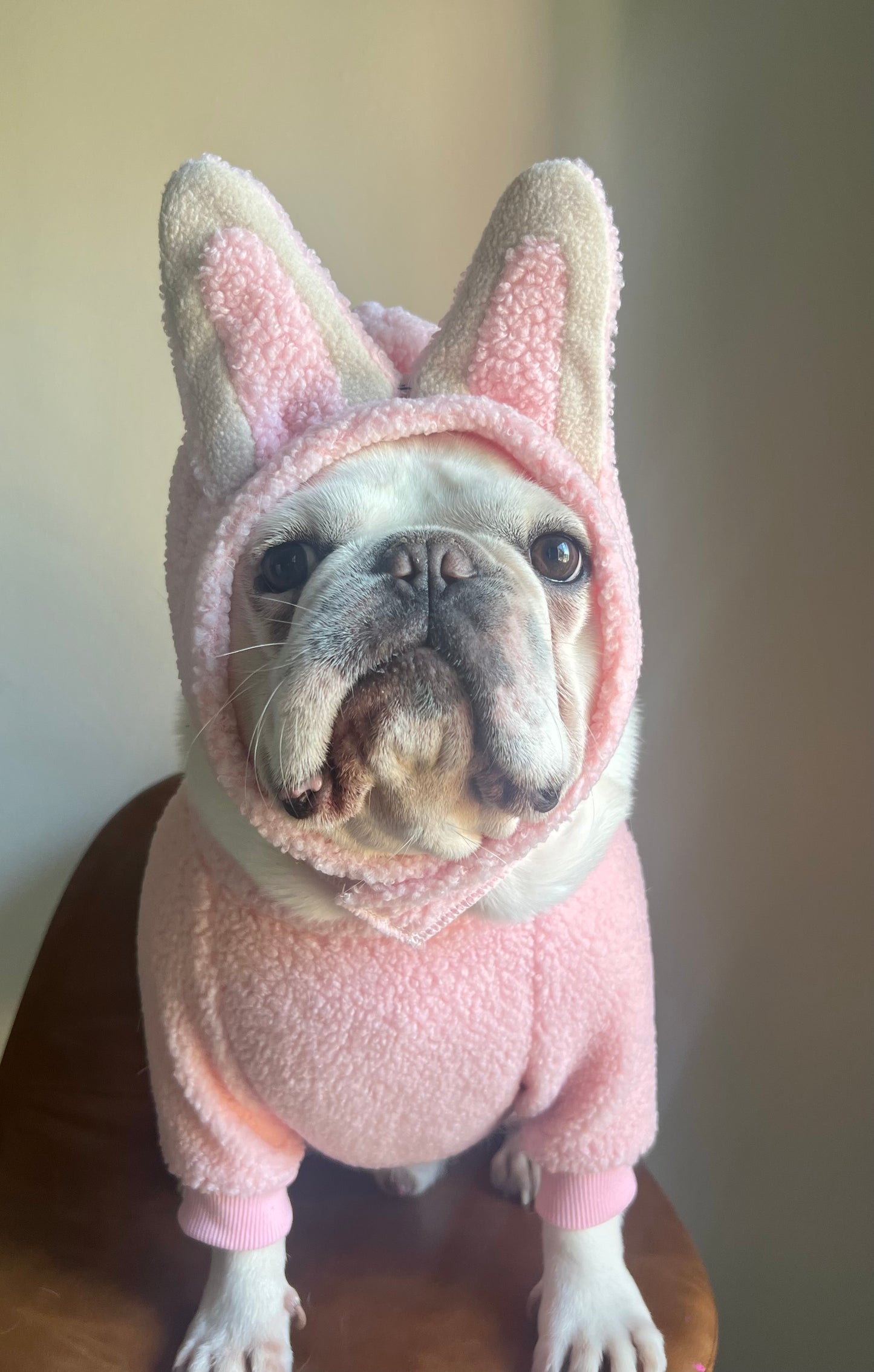 Blind Box Labubu Bunny Pet Costume Dress Up for Halloween