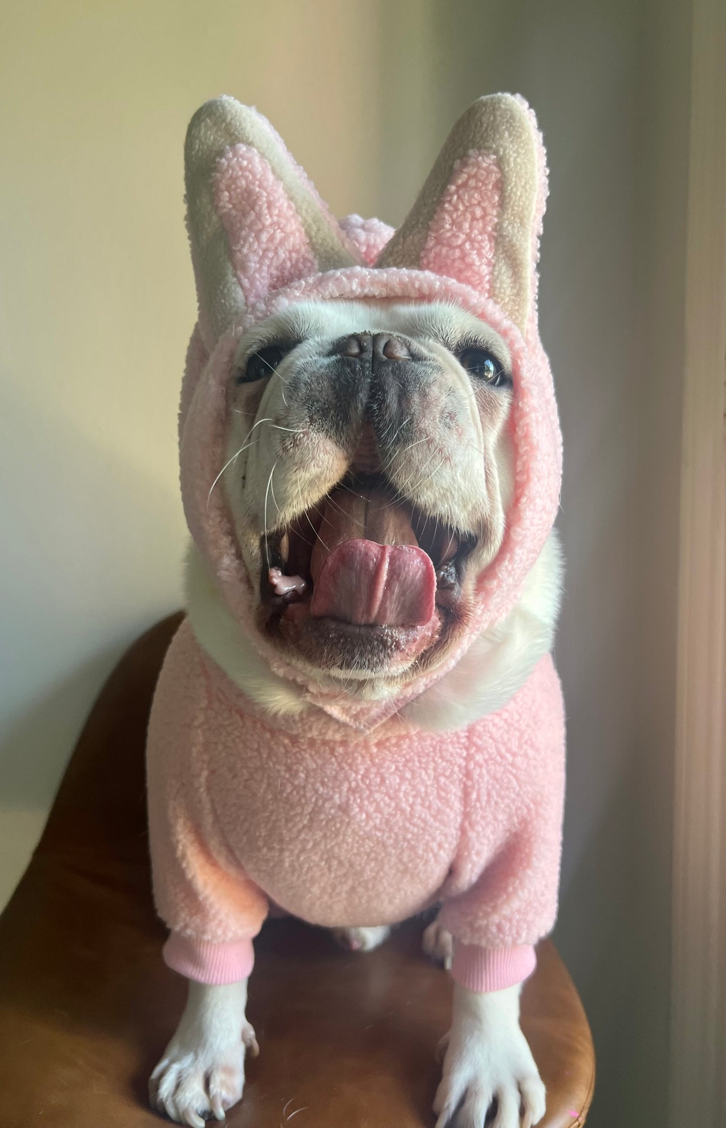 Blind Box Labubu Bunny Pet Costume Dress Up for Halloween