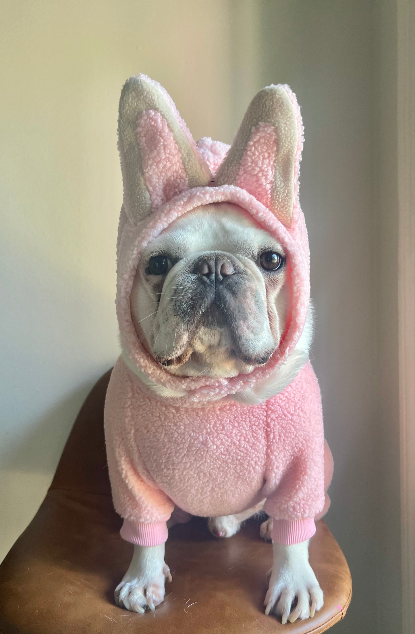 Blind Box Labubu Bunny Pet Costume Dress Up for Halloween