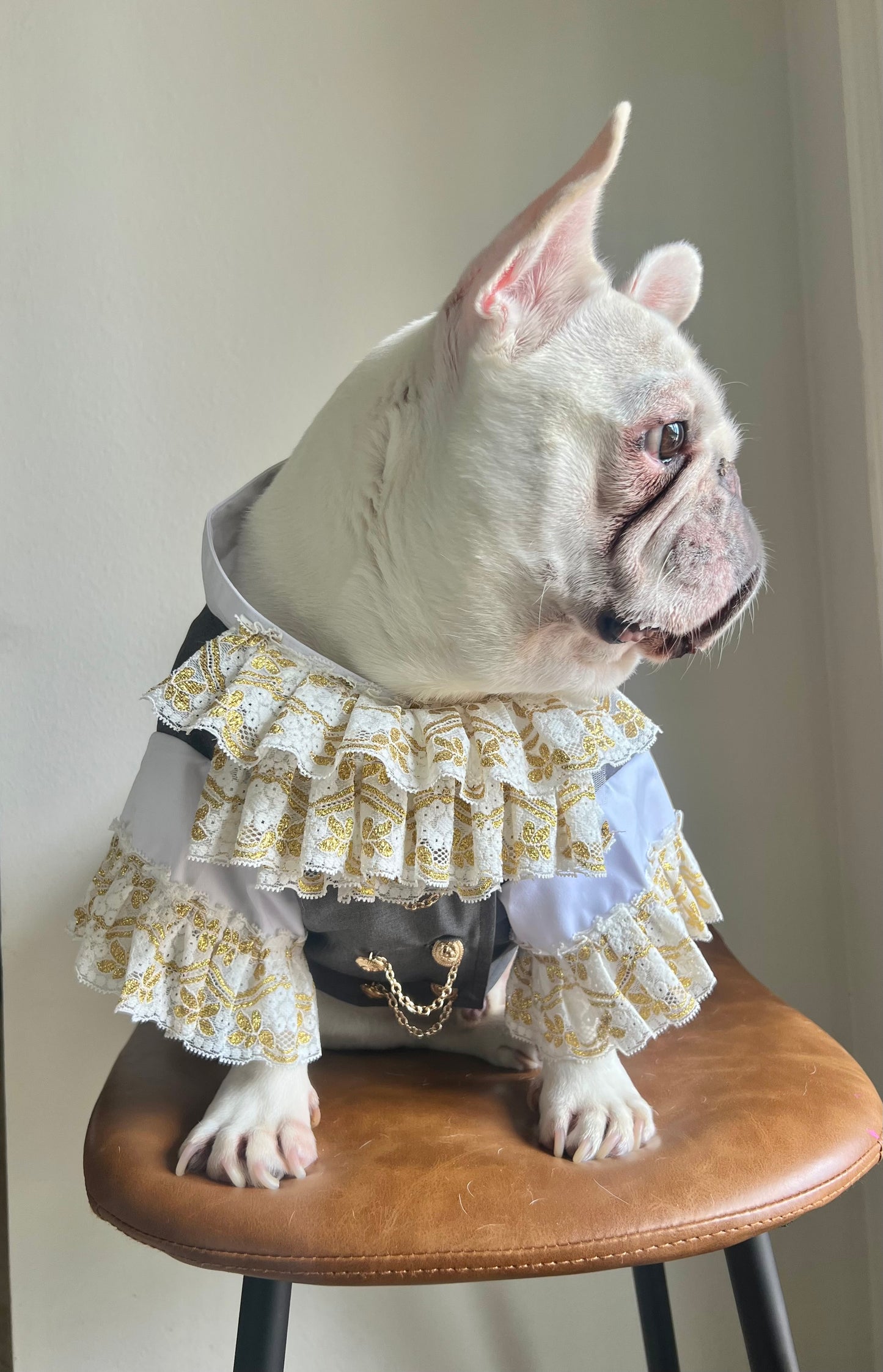 Tailor-Made Vampire Dracula Pet Costume Suit with Ruffle Collar and Faux Leather Cape