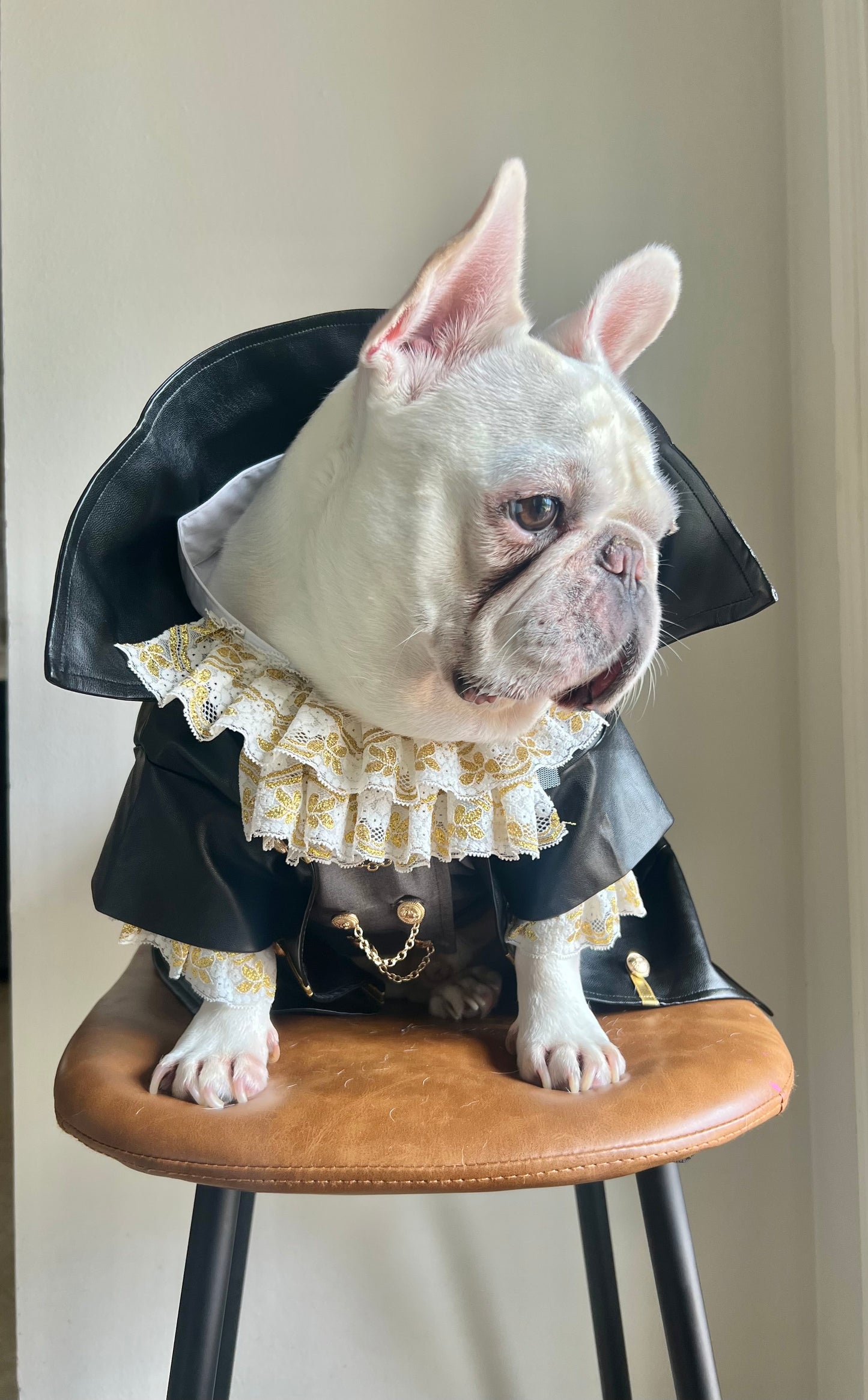 Tailor-Made Vampire Dracula Pet Costume Suit with Ruffle Collar and Faux Leather Cape