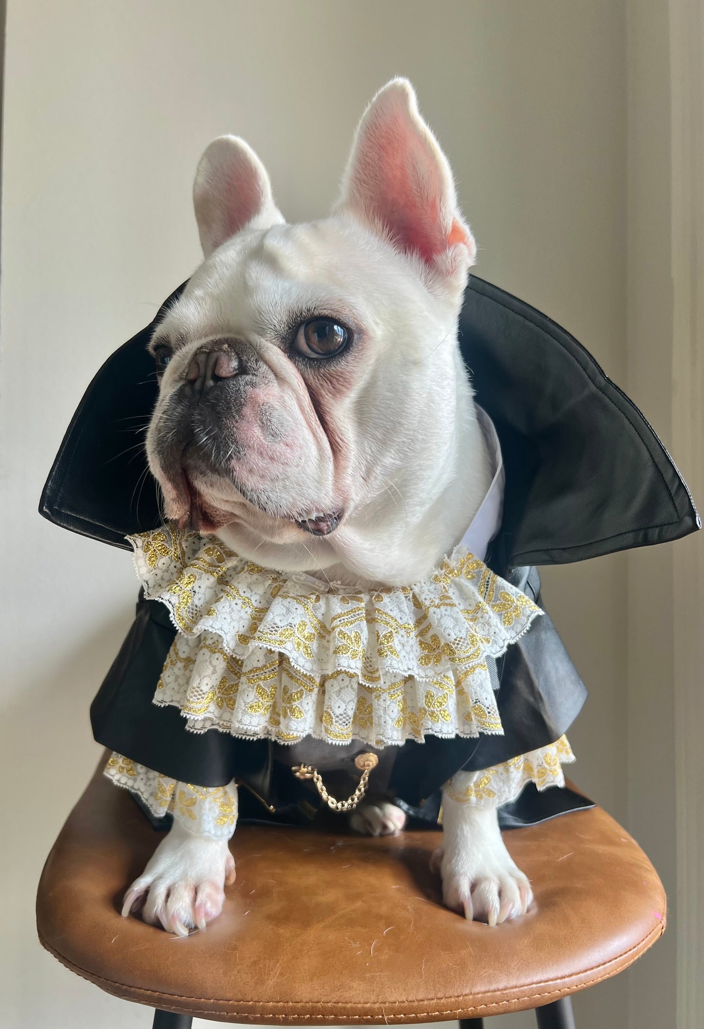 Tailor-Made Vampire Dracula Pet Costume Suit with Ruffle Collar and Faux Leather Cape