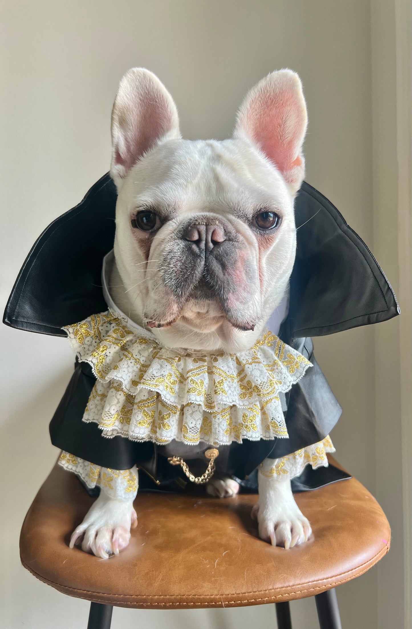 Tailor-Made Vampire Dracula Pet Costume Suit with Ruffle Collar and Faux Leather Cape