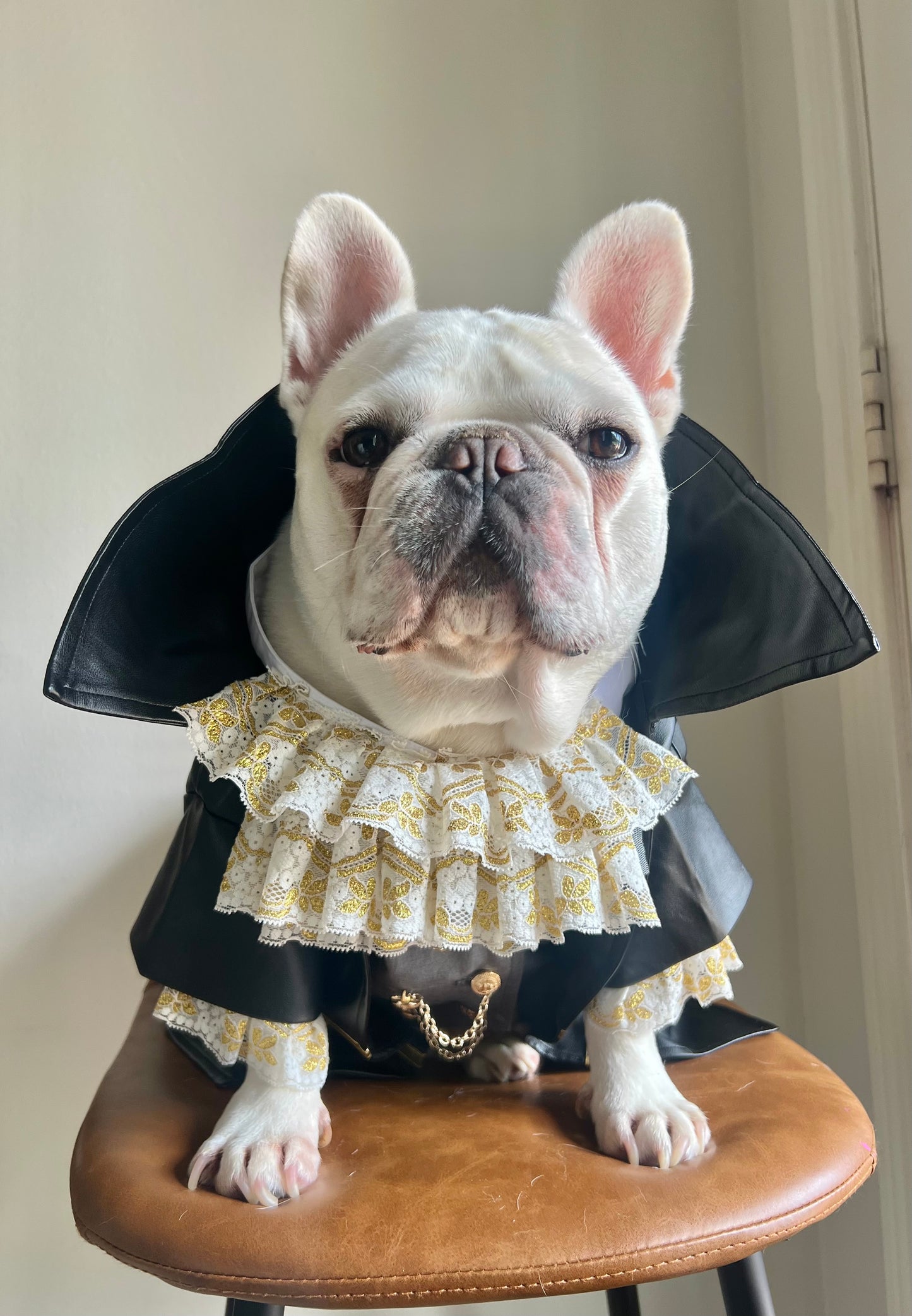 Tailor-Made Vampire Dracula Pet Costume Suit with Ruffle Collar and Faux Leather Cape