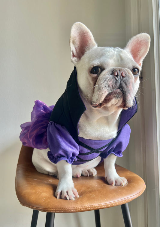 Witch Purple Dress Pet Cat Dog Costume with Puffy Sleeves and Tulle Skirt