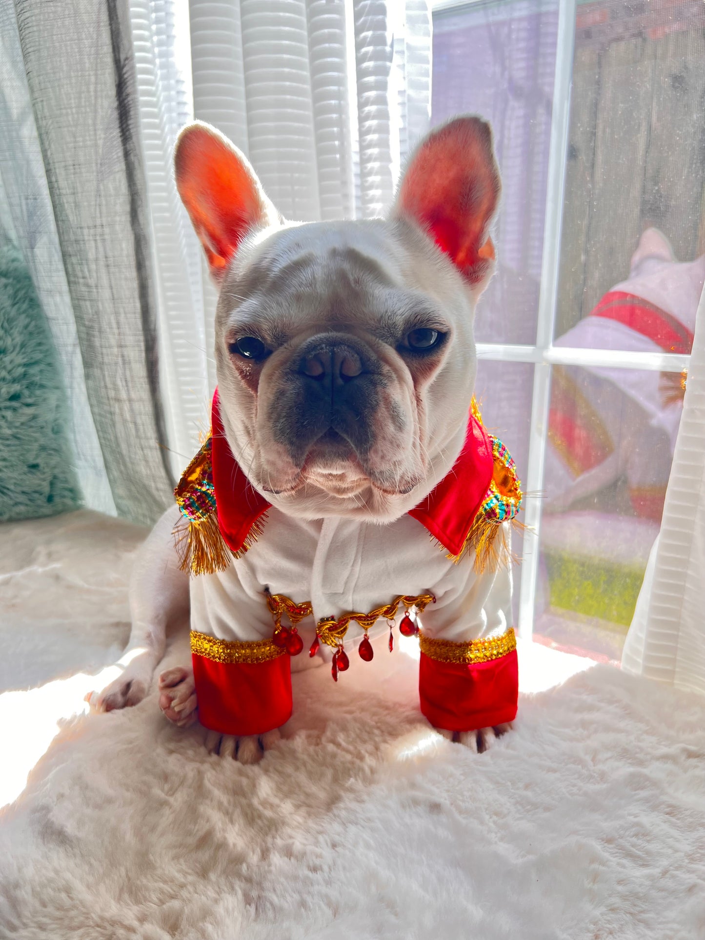 King of Rock and Roll Elvis Presley Style Costume