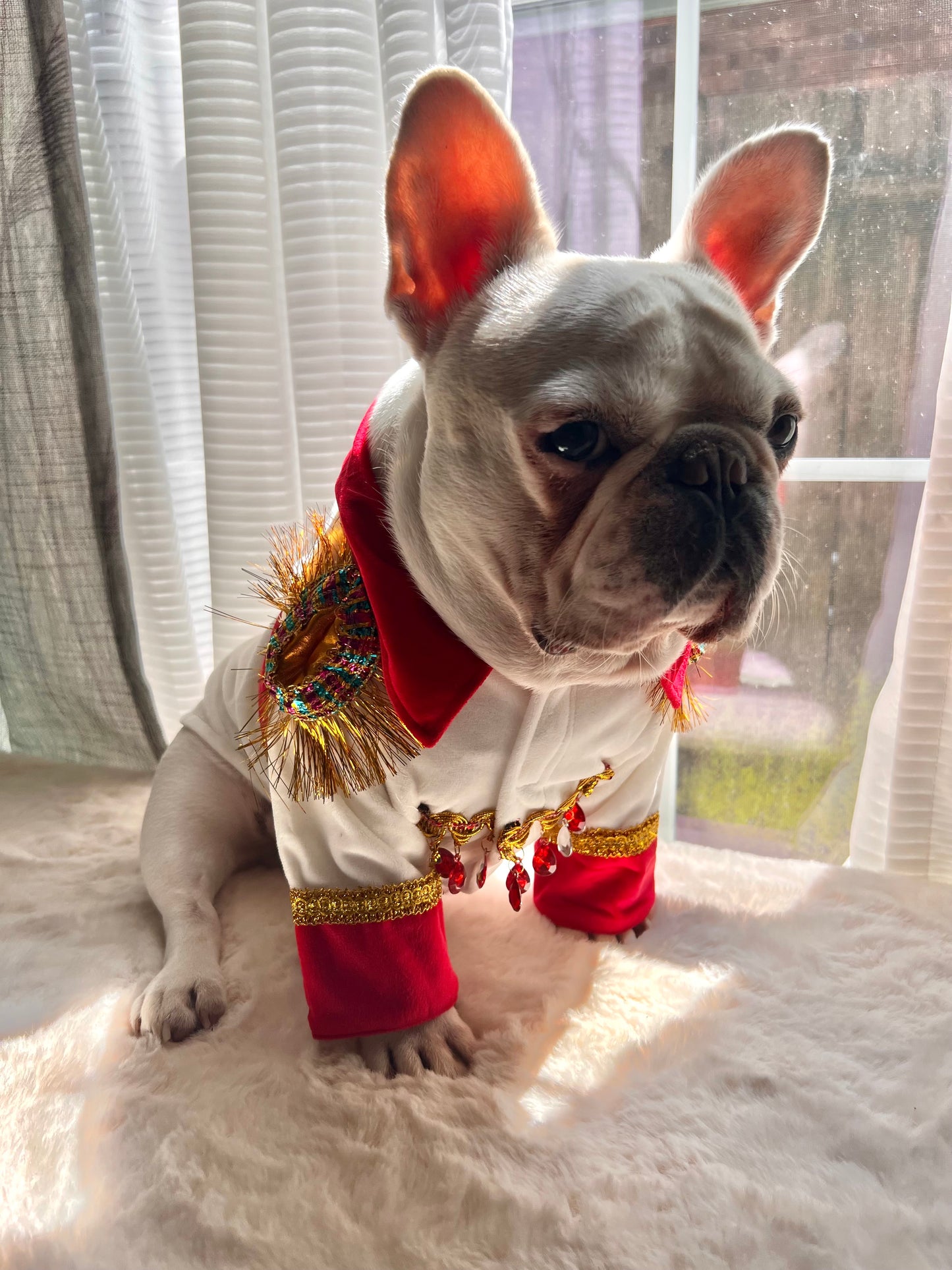 King of Rock and Roll Elvis Presley Style Costume