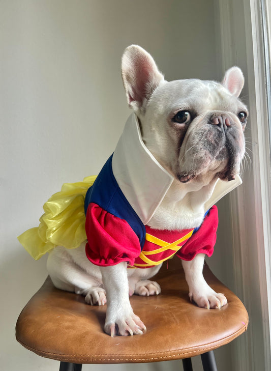 Fairytale Princess Pet Costume, Red, Blue & Yellow Dress Colorful Dress with Puffy Sleeves