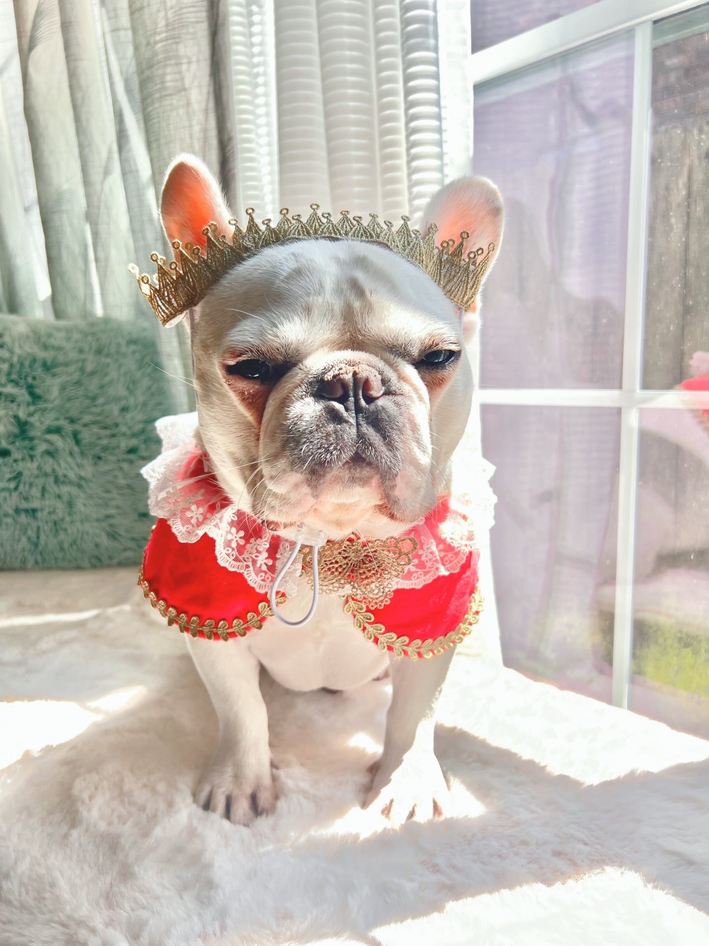 White Lace and Gold Red Royal Family Bandana Bib