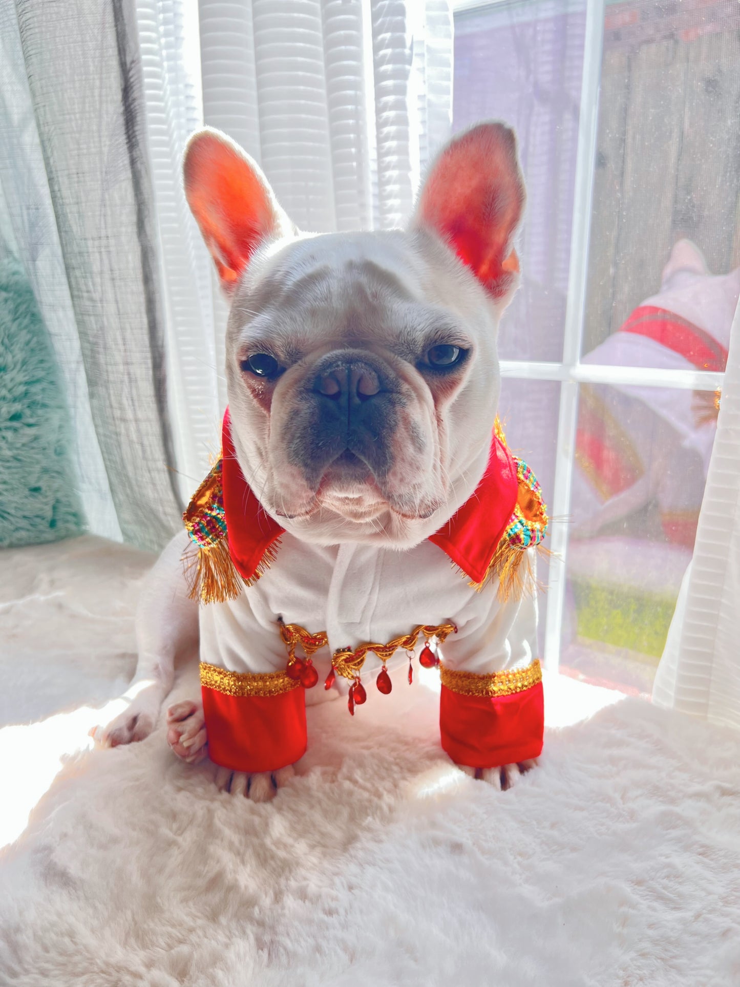 King of Rock and Roll Elvis Presley Style Costume