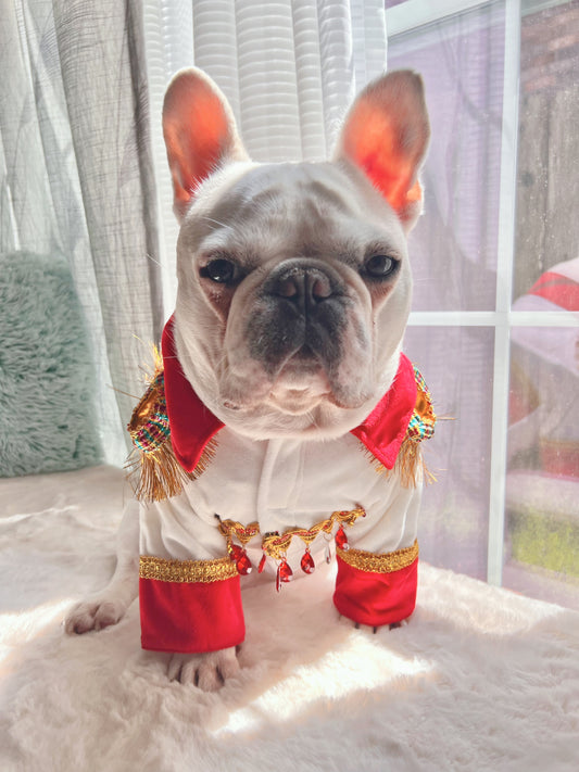 King of Rock and Roll Elvis Presley Style Costume