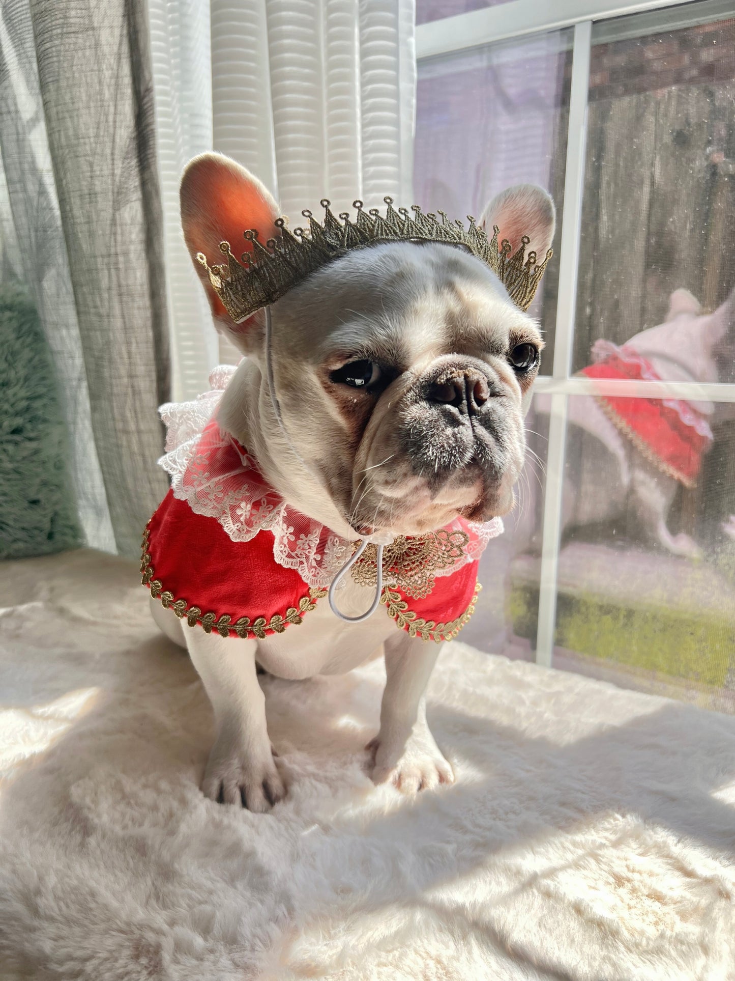 White Lace and Gold Red Royal Family Bandana Bib