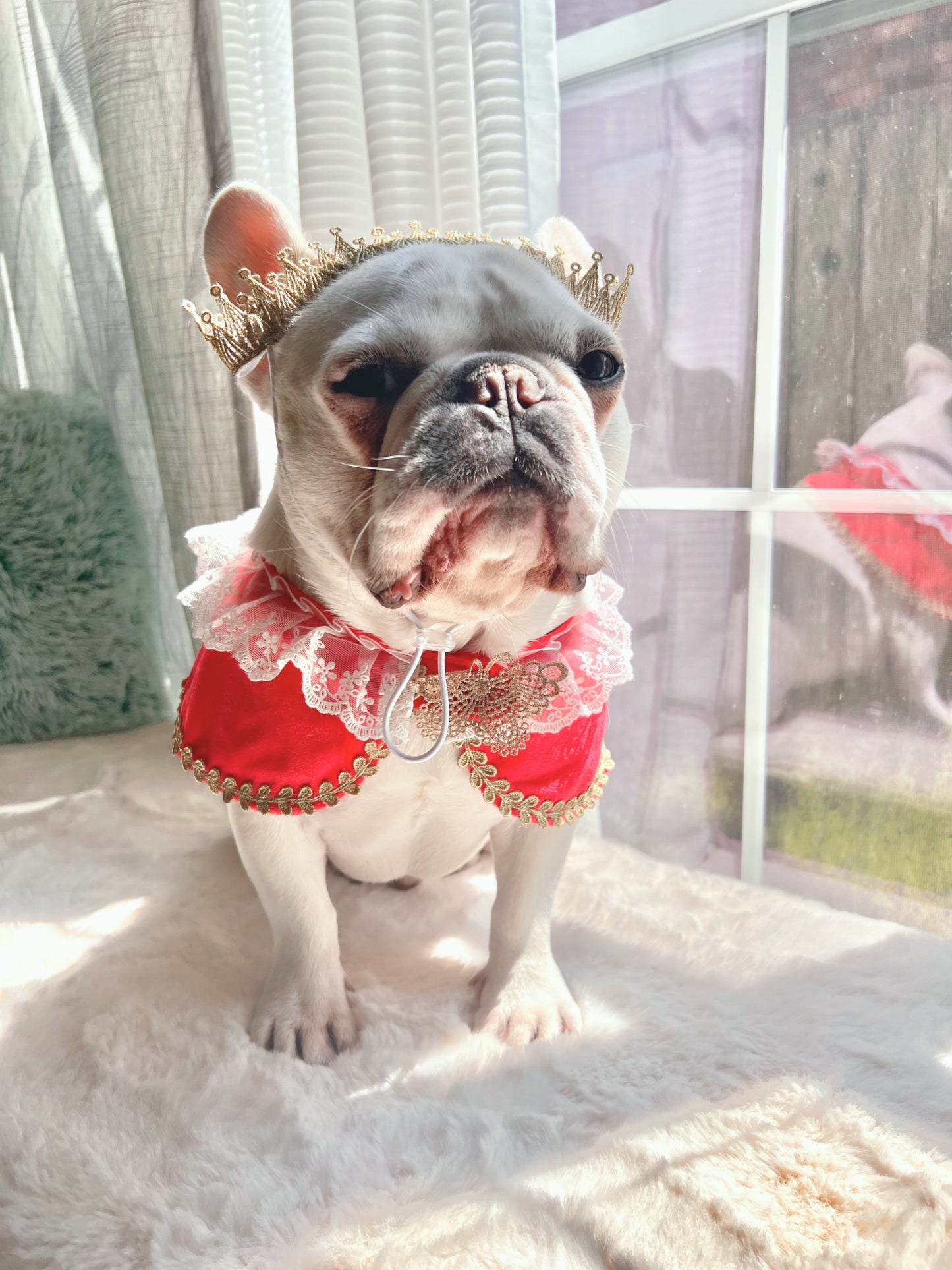 White Lace and Gold Red Royal Family Bandana Bib