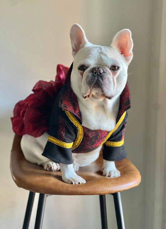 Vampire Regal Red & Black Dark Victorian Princess Dress