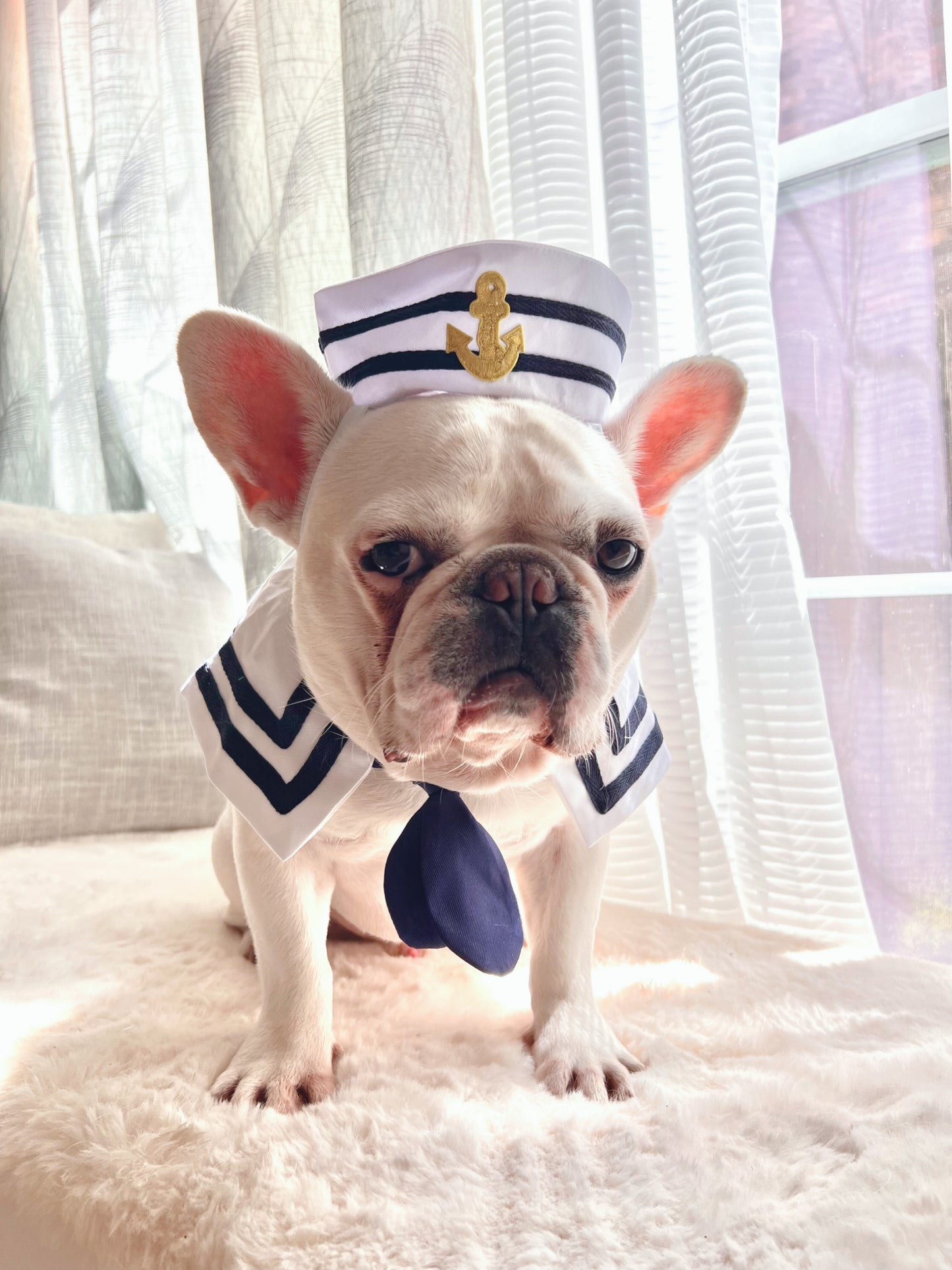 Halloween Deckhand Sailor Bandana and Hat Costume