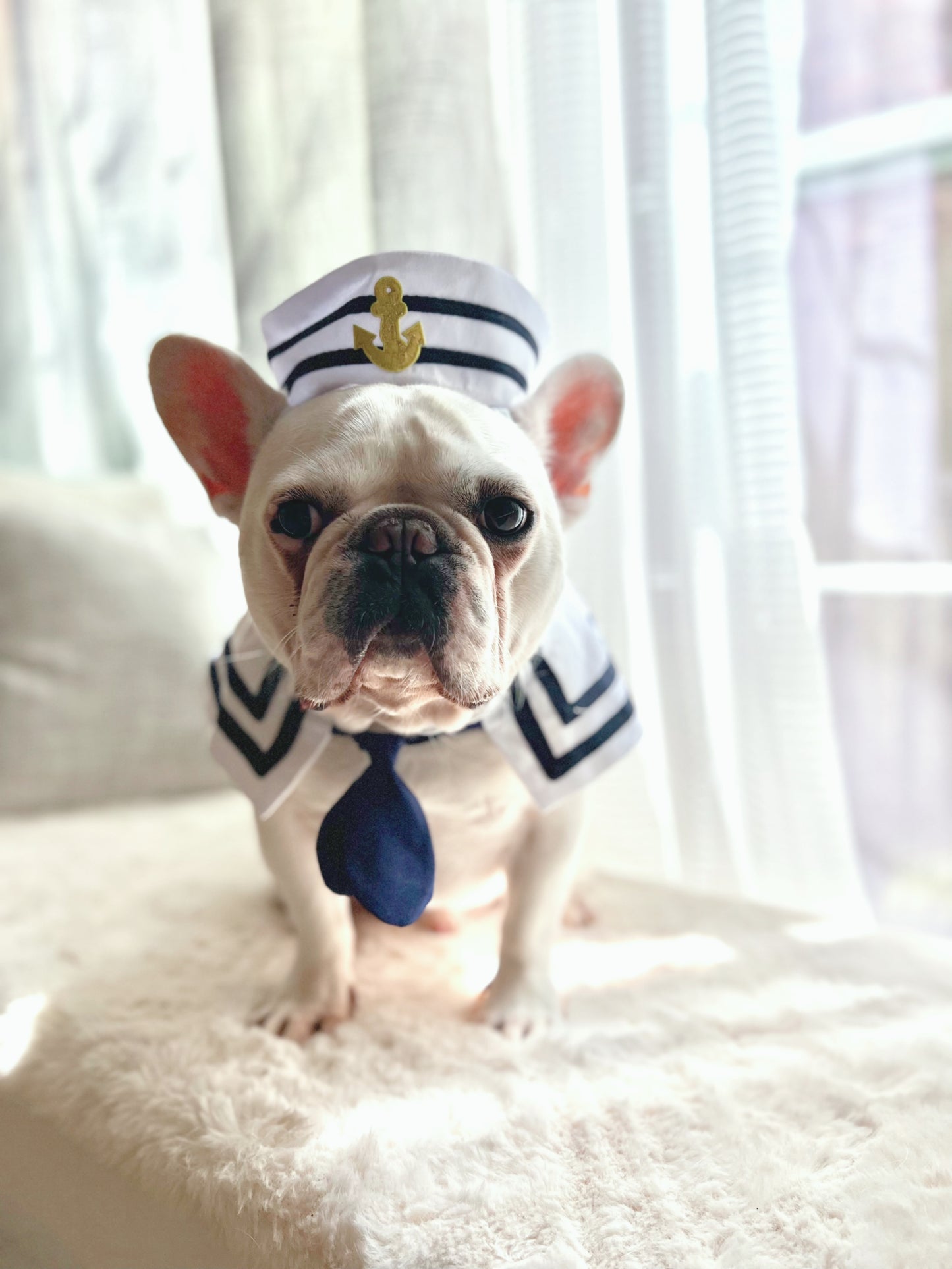 Halloween Deckhand Sailor Bandana and Hat Costume