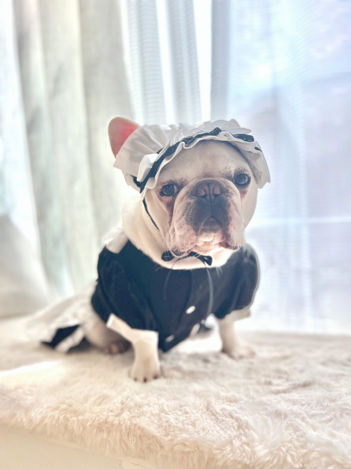 Ruffled Maid Lolita Dress