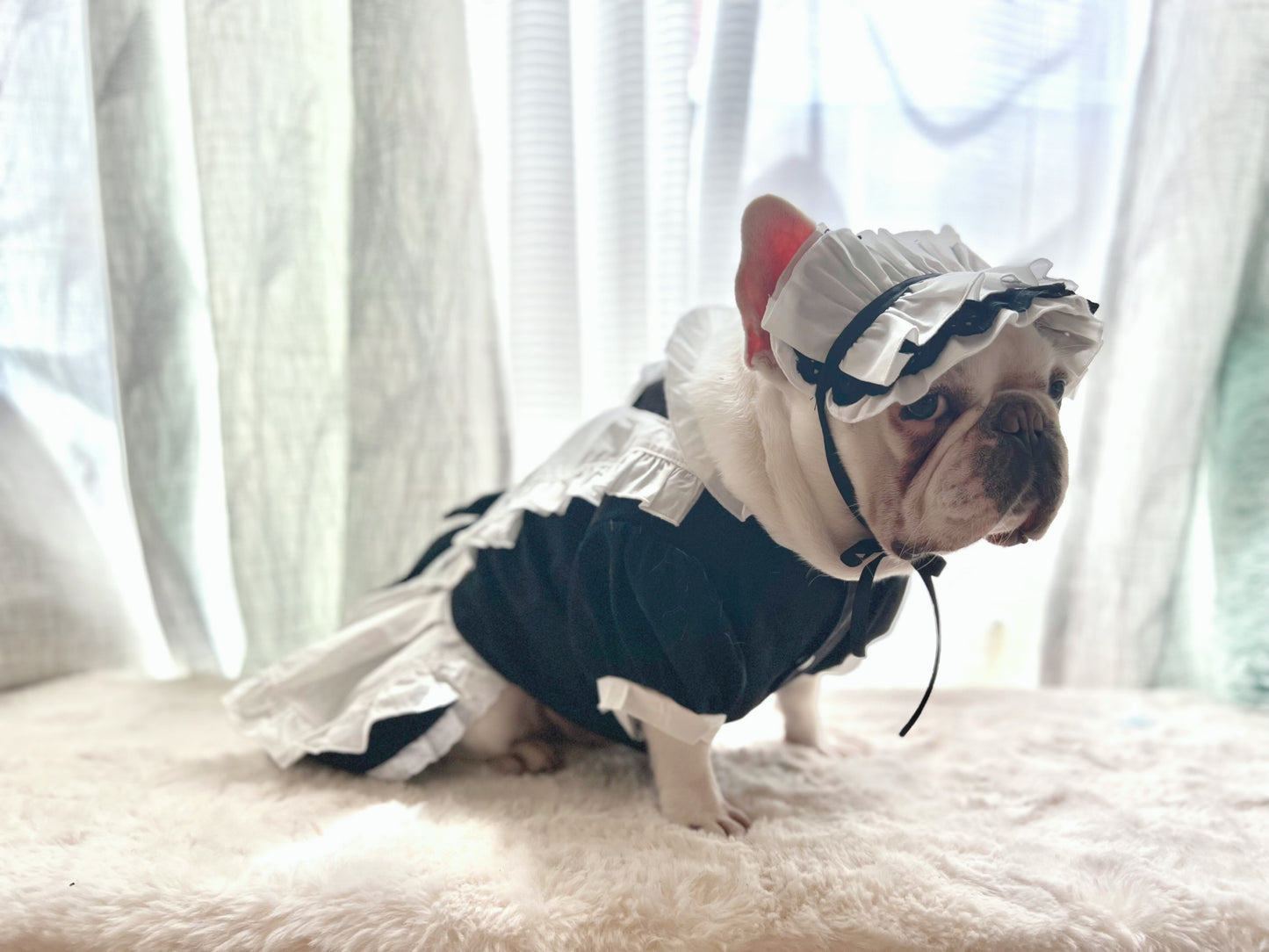Ruffled Maid Lolita Dress