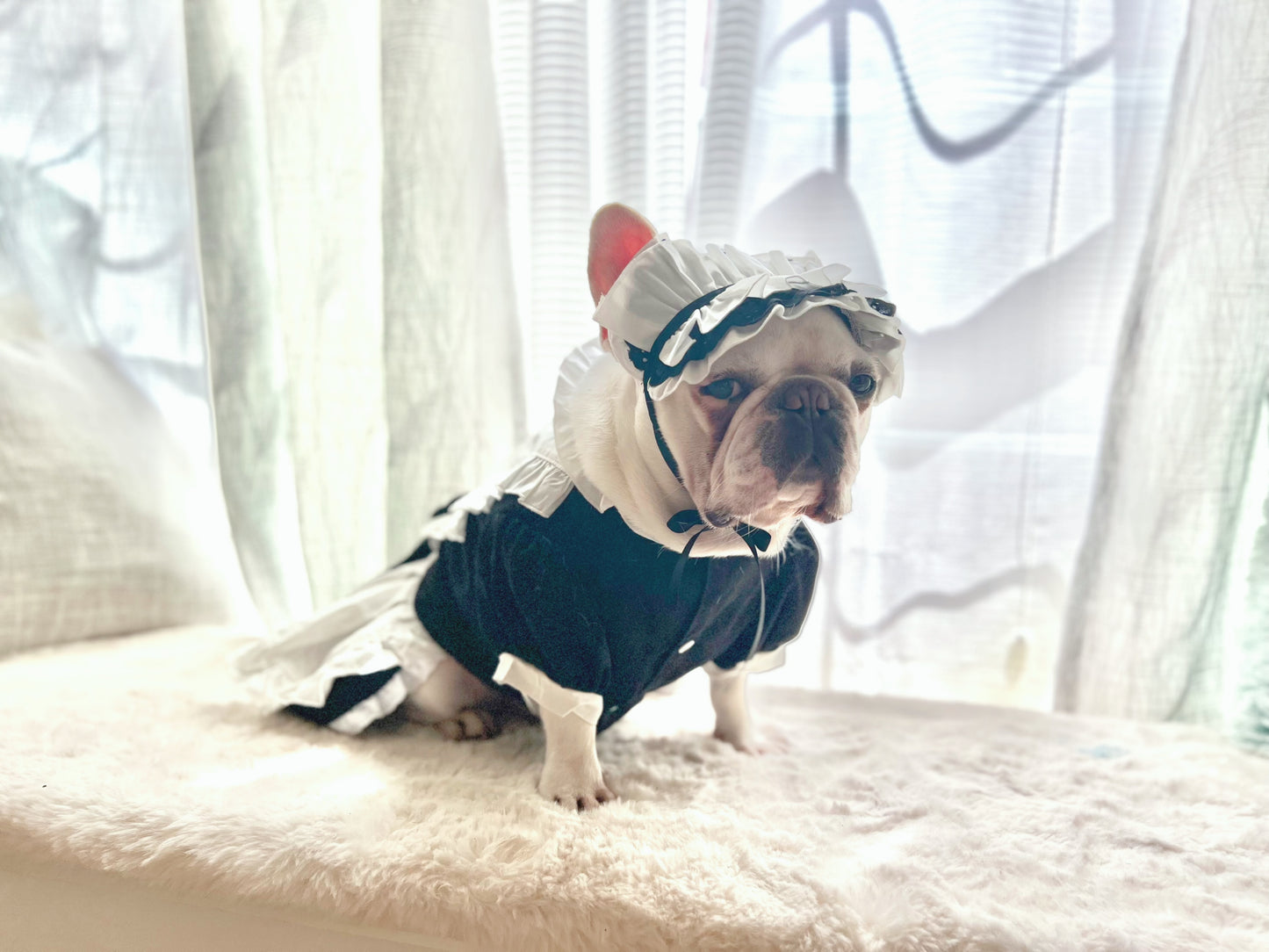 Ruffled Maid Lolita Dress