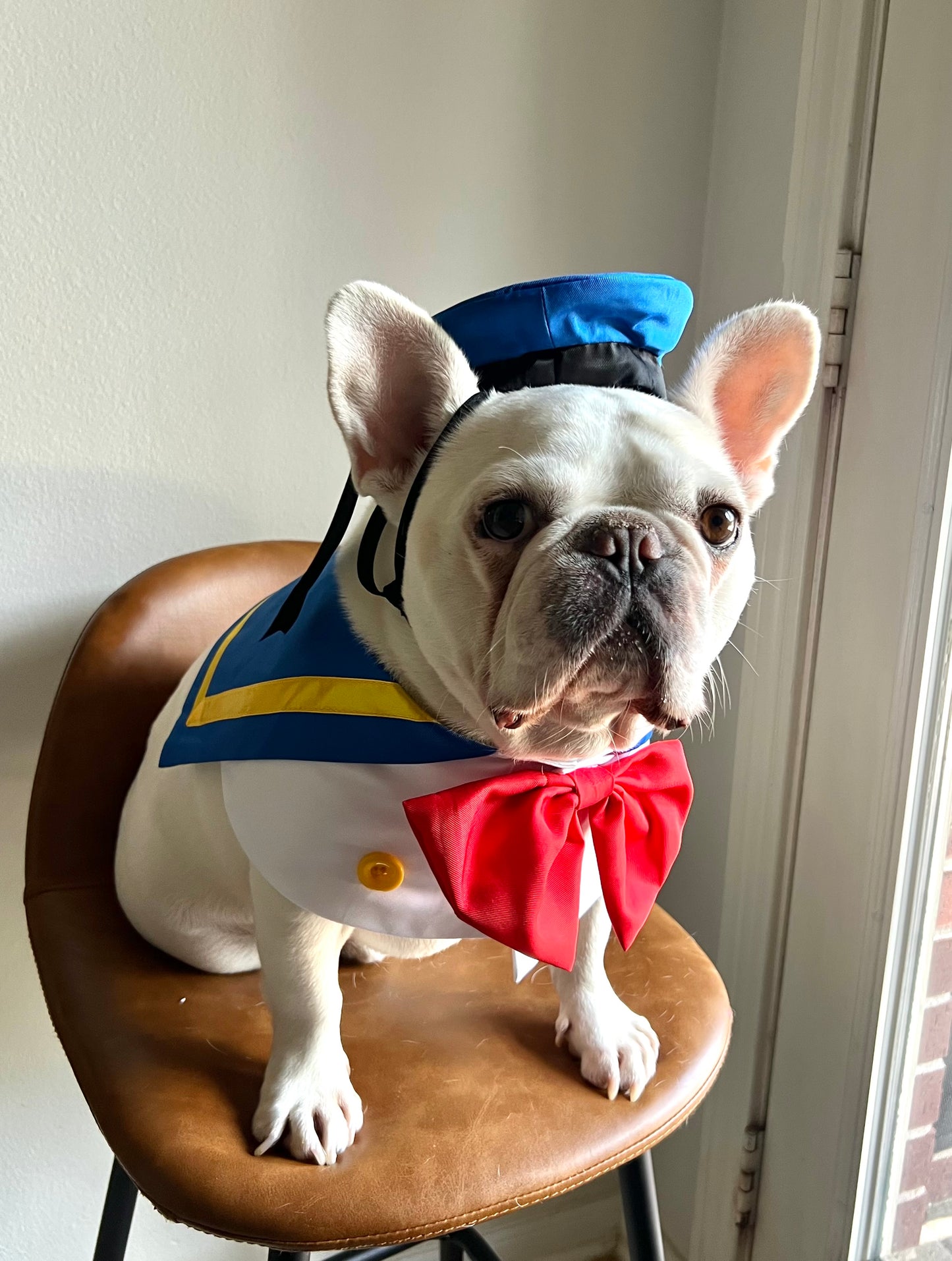 Sailor Nautical Pet Blue Sailor Hat & Bandana Set