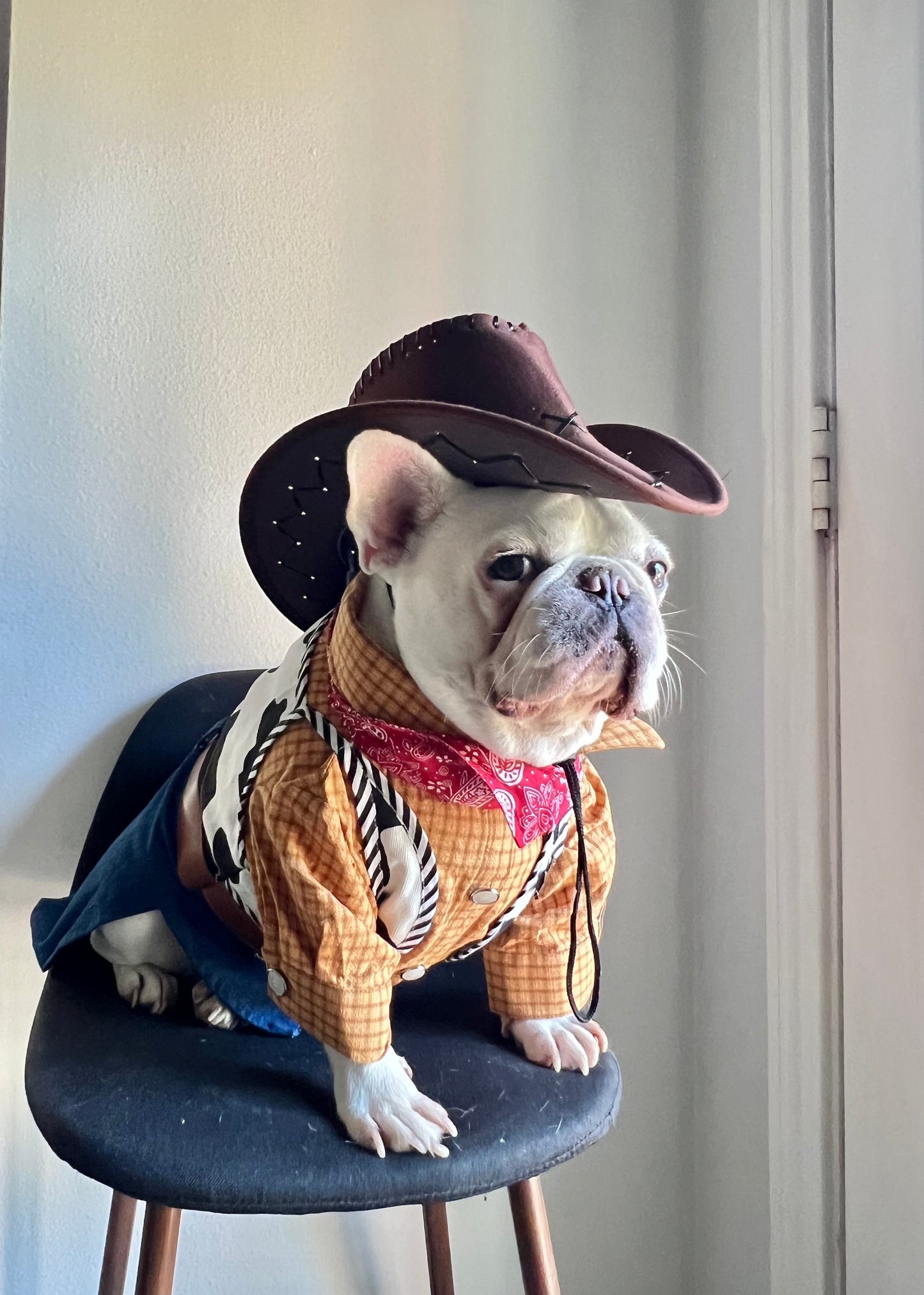 Western Cowboy Rodeo Pet Costume with Hat