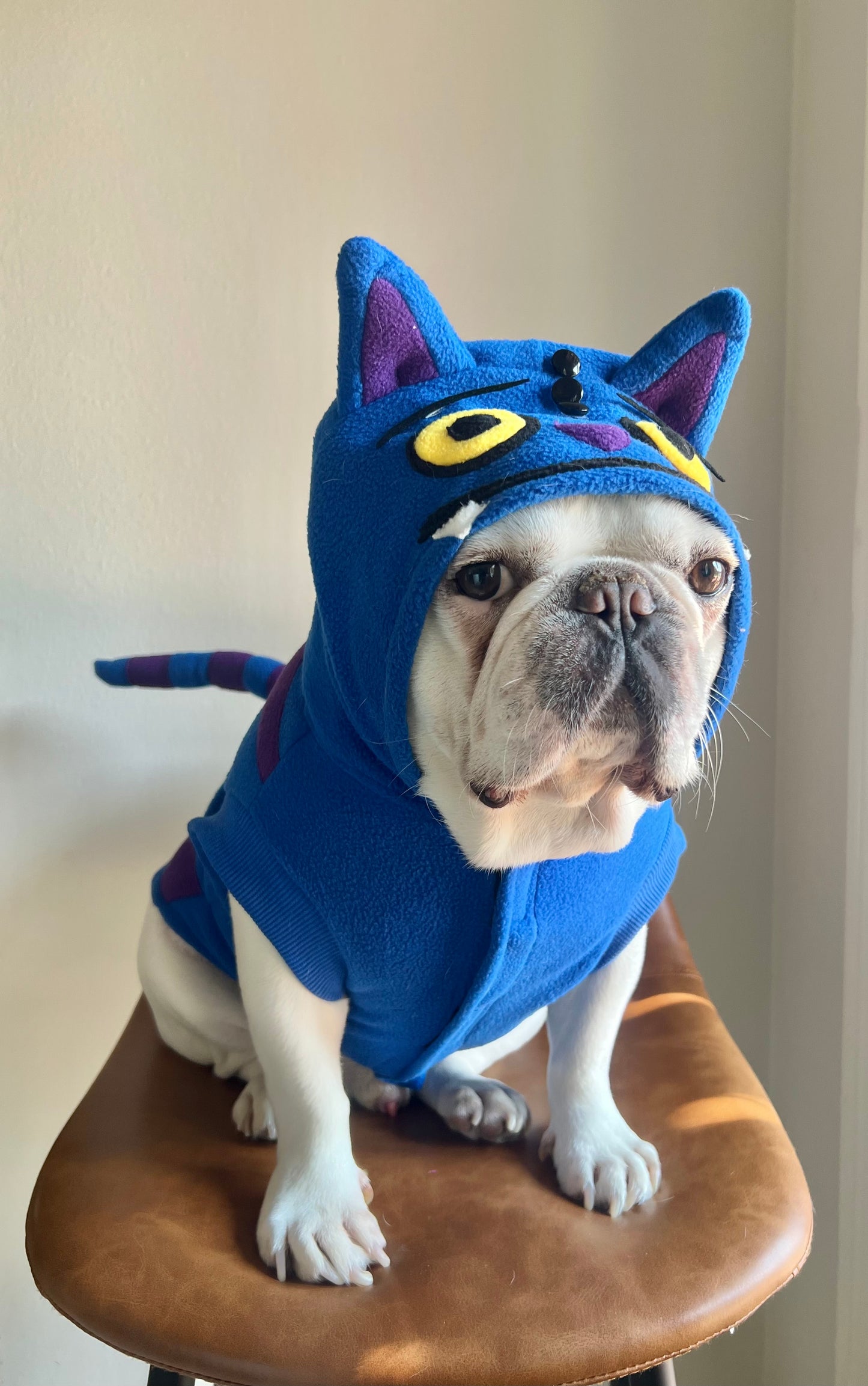 Cheshire Cat Derpy Tiger Huntrix Pet Costume