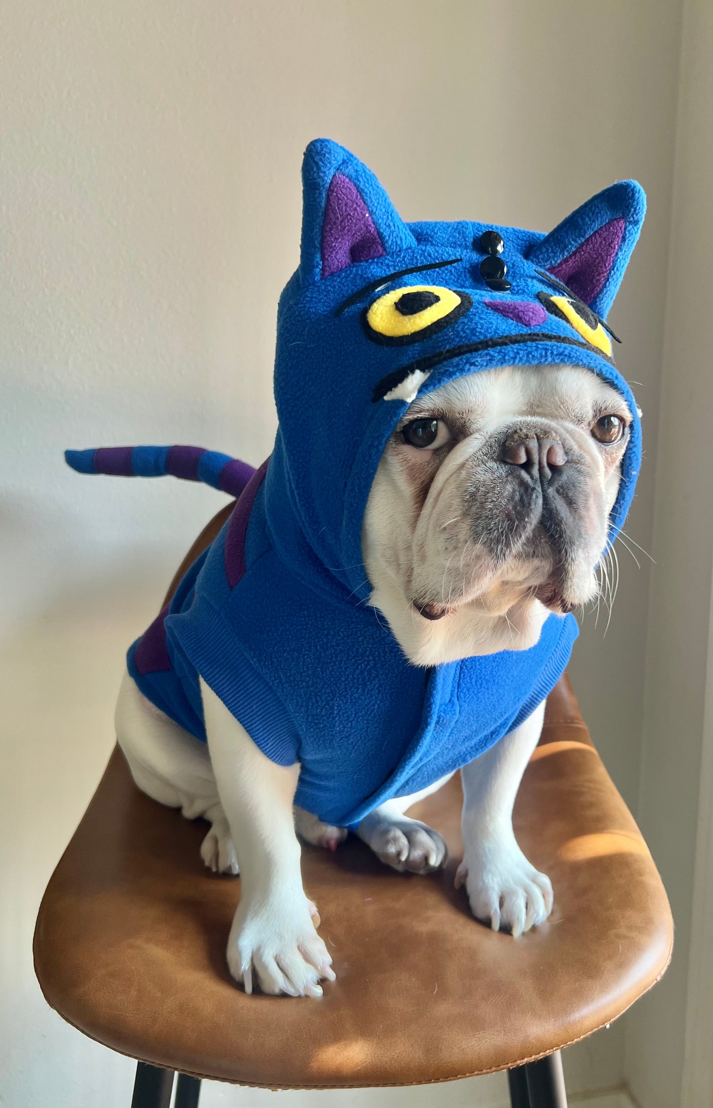Cheshire Cat Derpy Tiger Huntrix Pet Costume