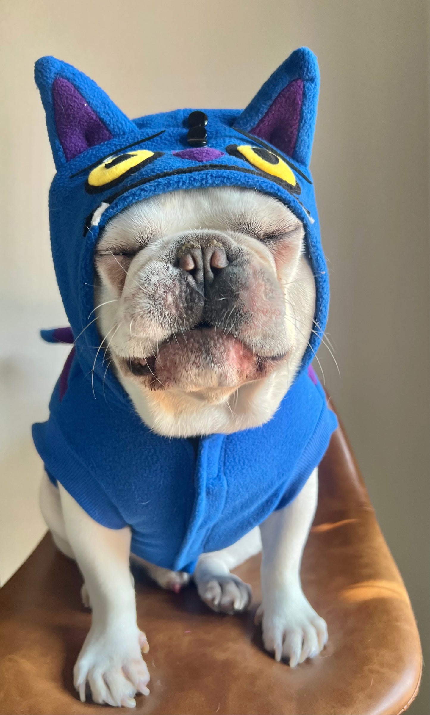 Cheshire Cat Derpy Tiger Huntrix Pet Costume