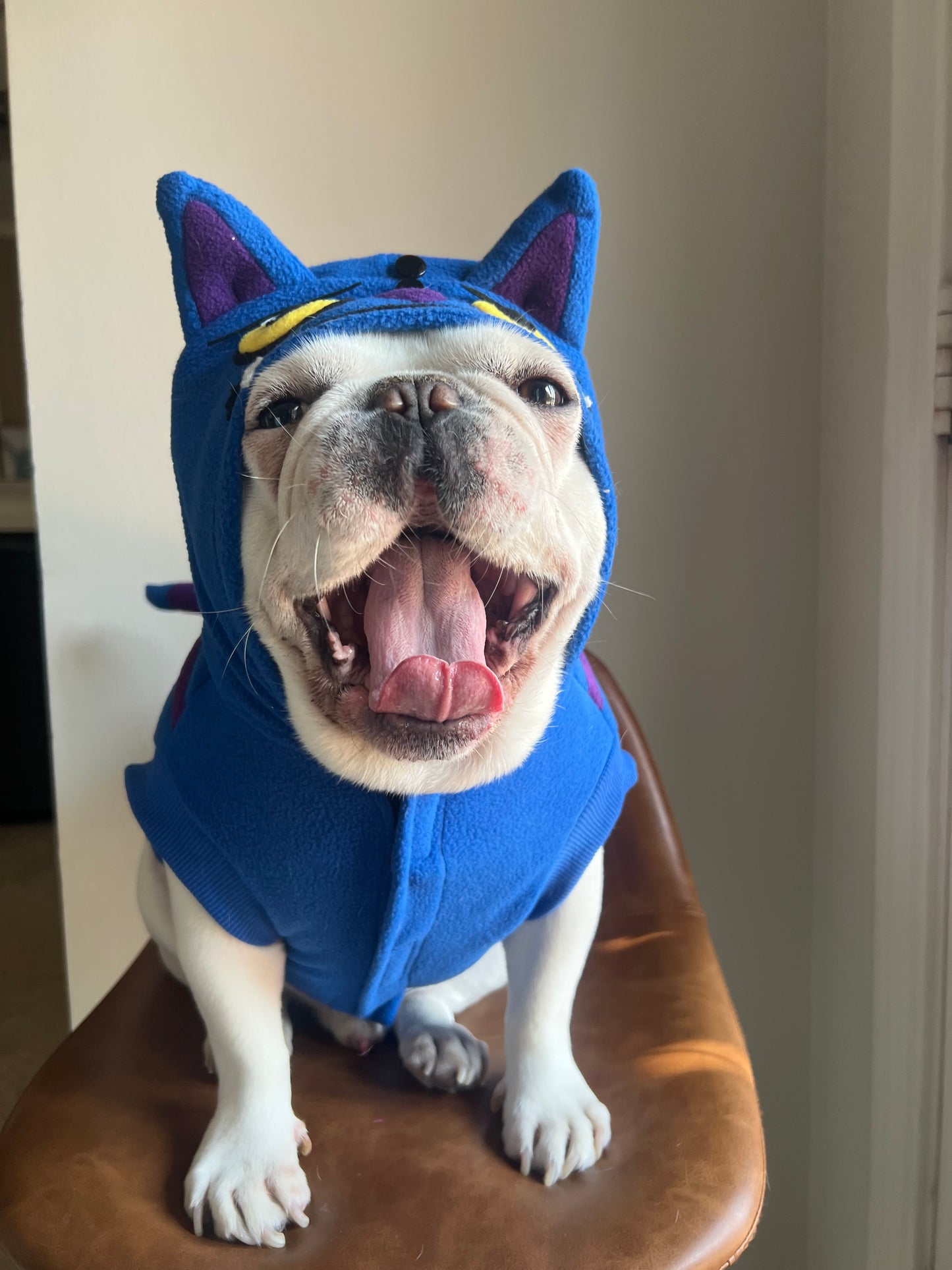 Cheshire Cat Derpy Tiger Huntrix Pet Costume