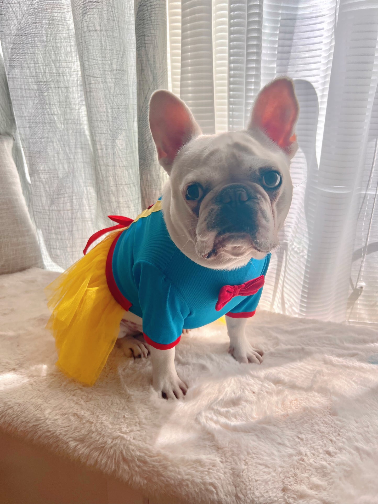 Snow Princess Pet Tutu Tulle Dress Costume