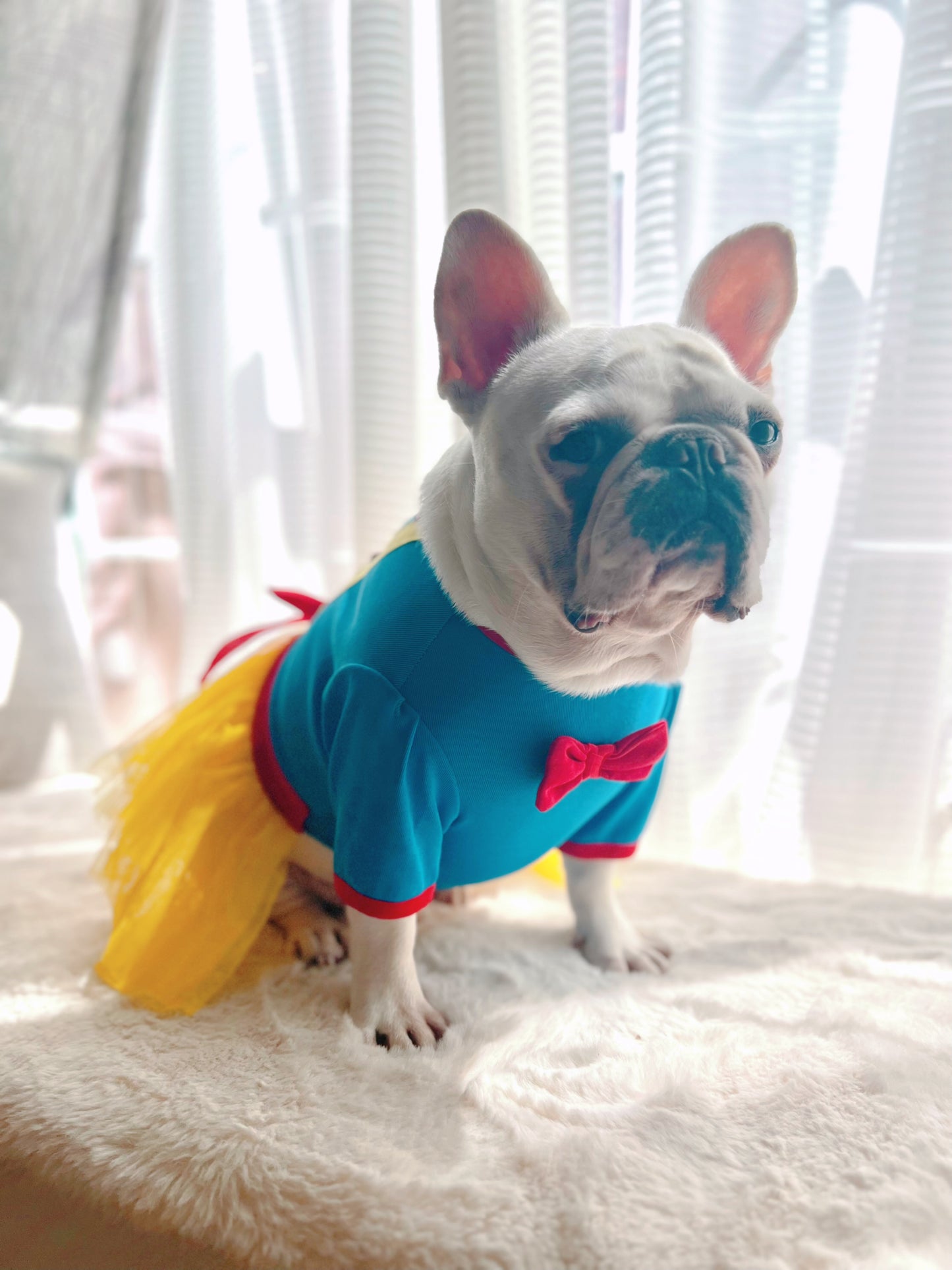 Snow Princess Pet Tutu Tulle Dress Costume