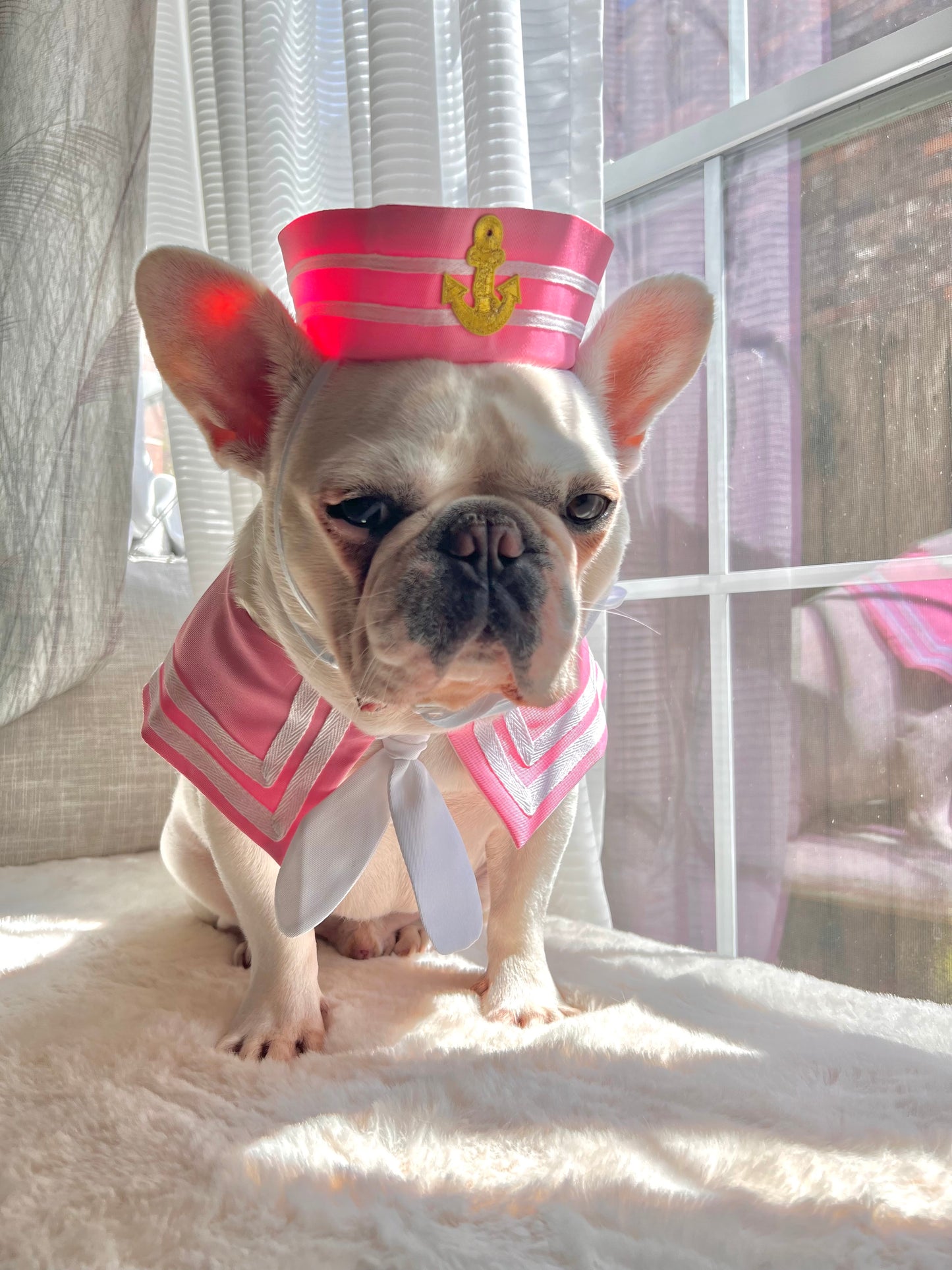 Halloween Deckhand Pink Sailor Bandana and Hat Costume