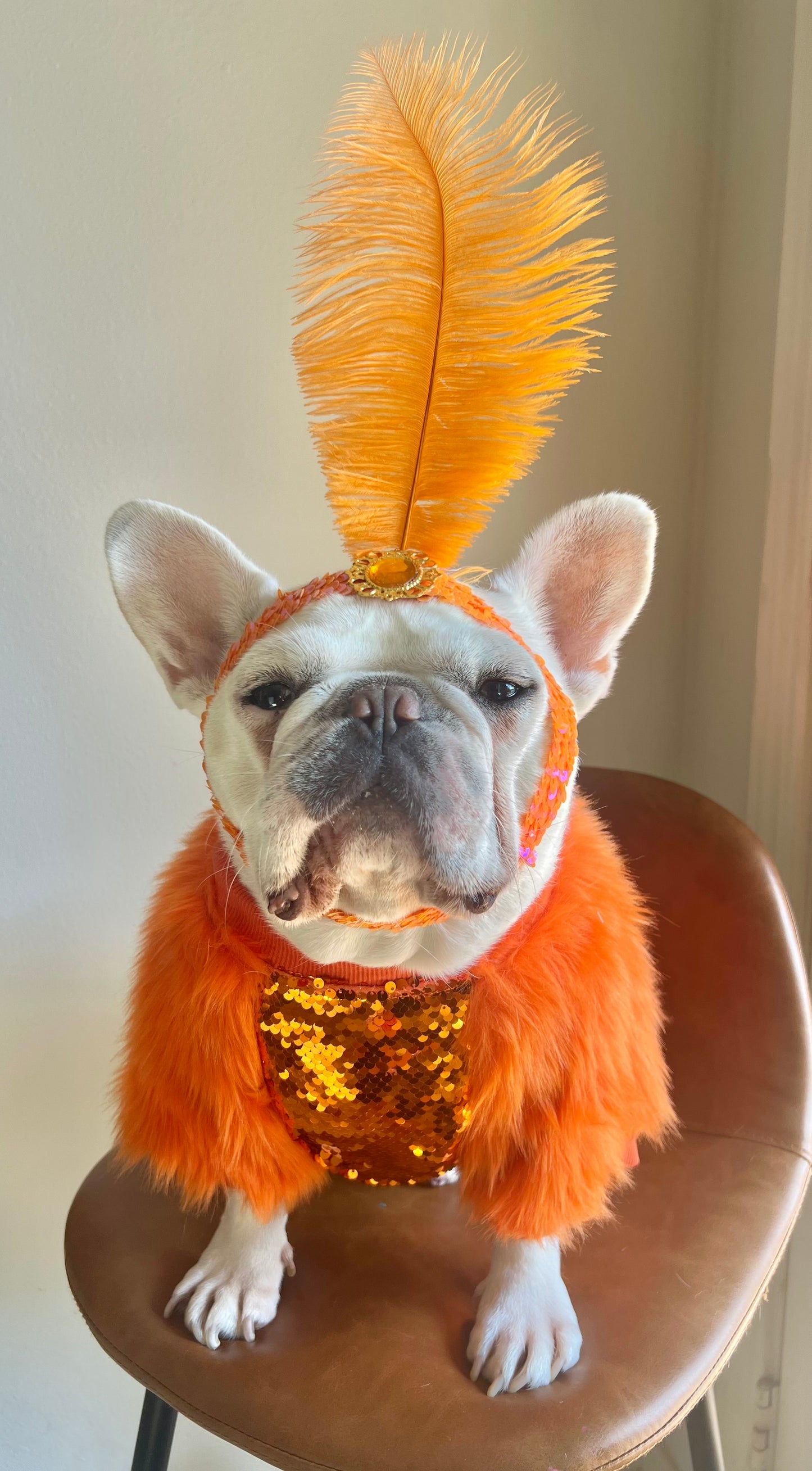 Life of Showgirl Orange Faux Fur Glamour Sequin Sweater