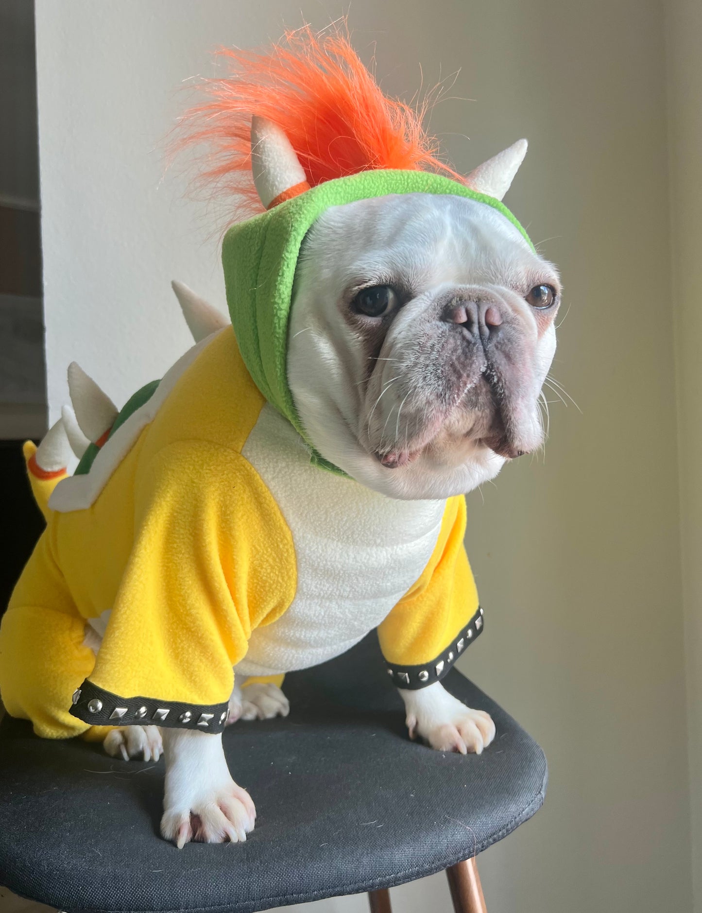 Bowser Turtle Dragon Pet Halloween Outfit Cosplay Costume