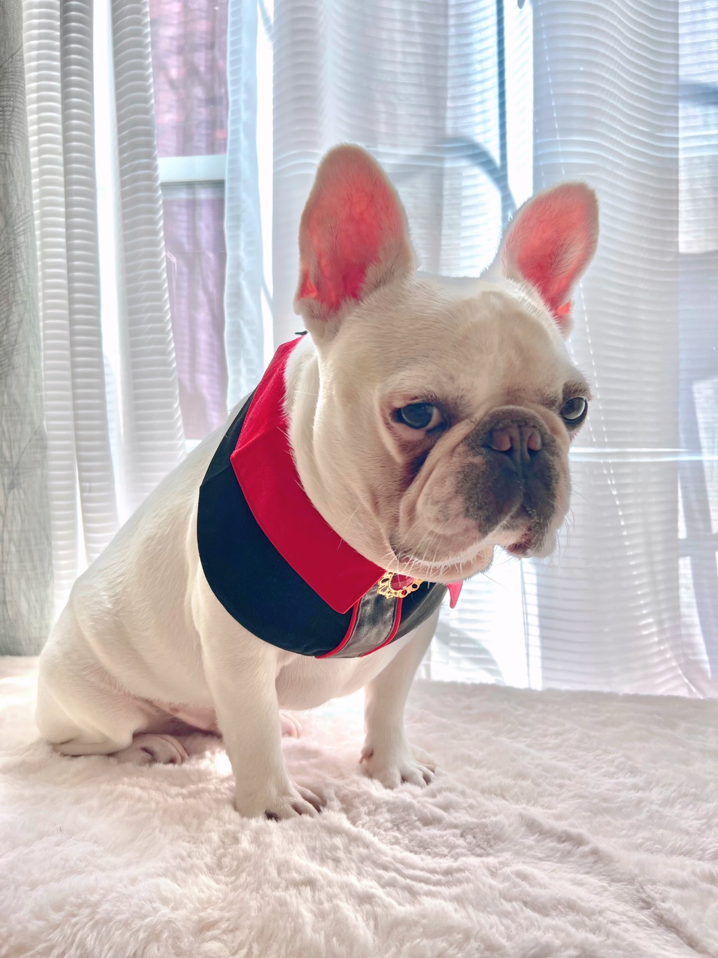 Vampire The Beast Collar Pet Bandana