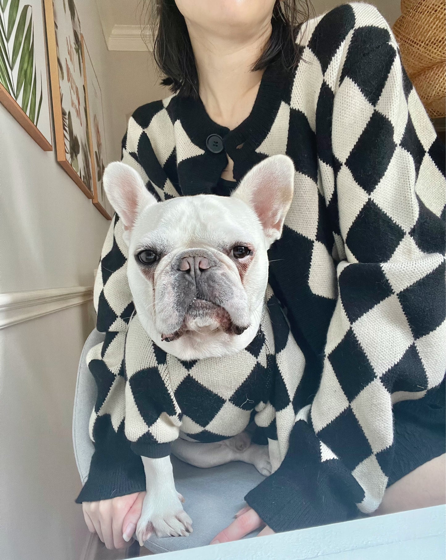 Black Diamond Owner Cardigan and Pet Matching Sweater