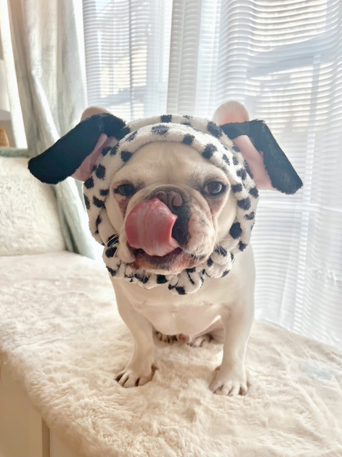 Cute Dalmatian Headband
