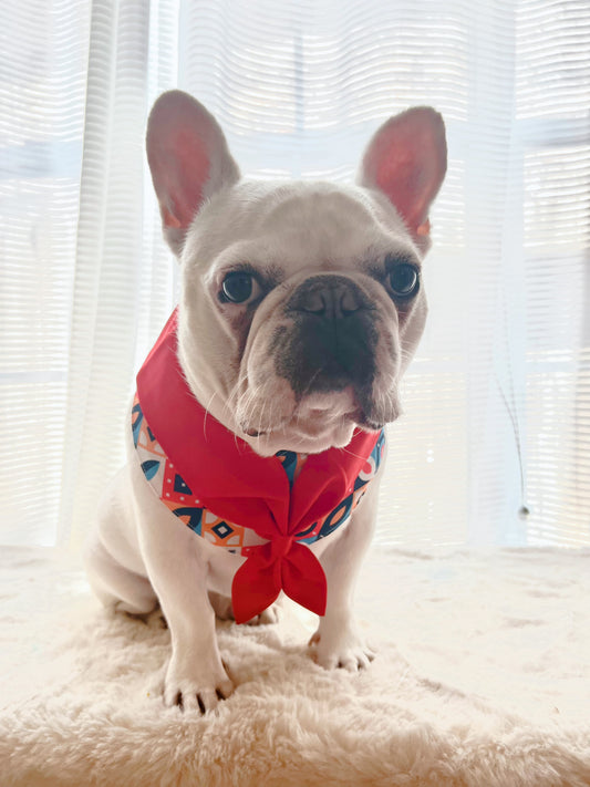 Cute Scout Style Pet Bandana