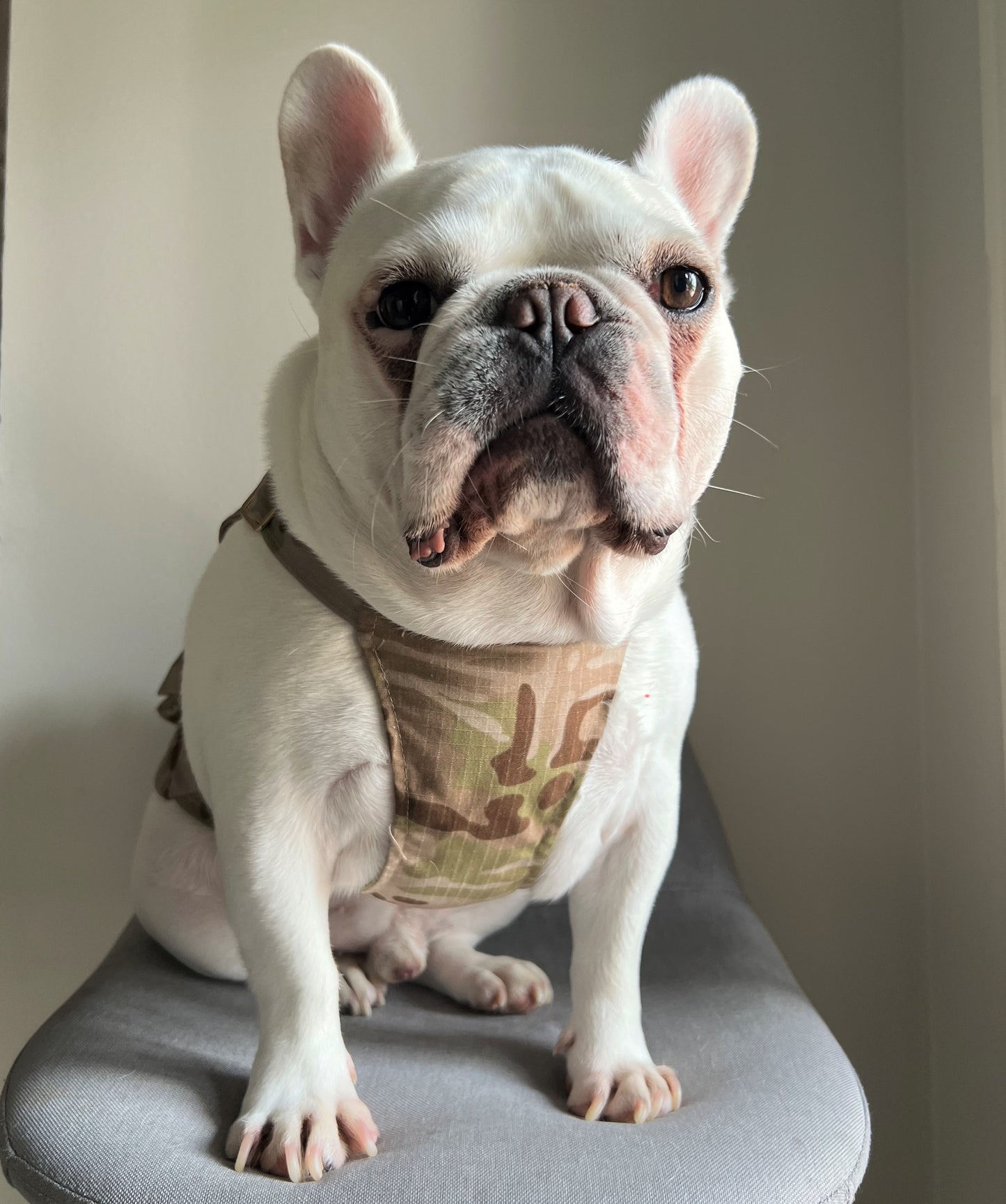 Camo Tactical Dog Cat Pet Vest with Leash Hook