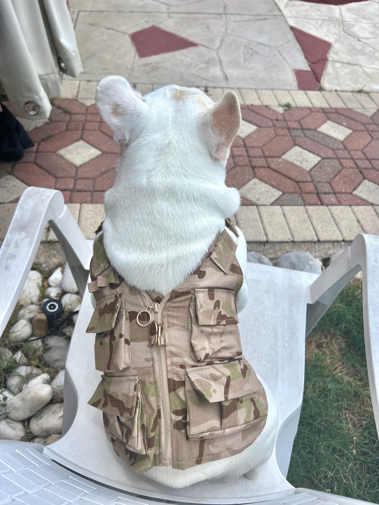 Camo Tactical Dog Cat Pet Vest with Leash Hook