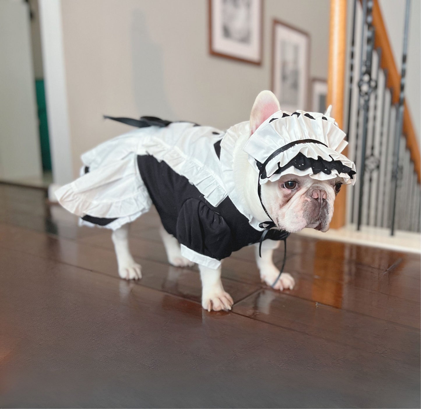 Ruffled Maid Lolita Dress