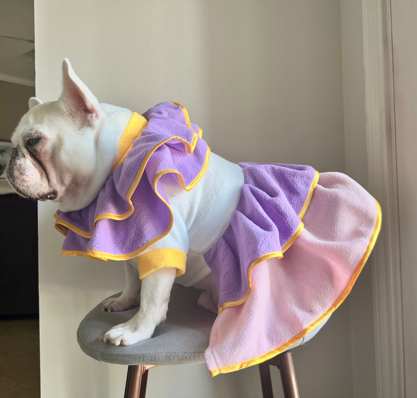 Teapot Mrs Potts Pet Cat Dog Purple White Dress Halloween Costume